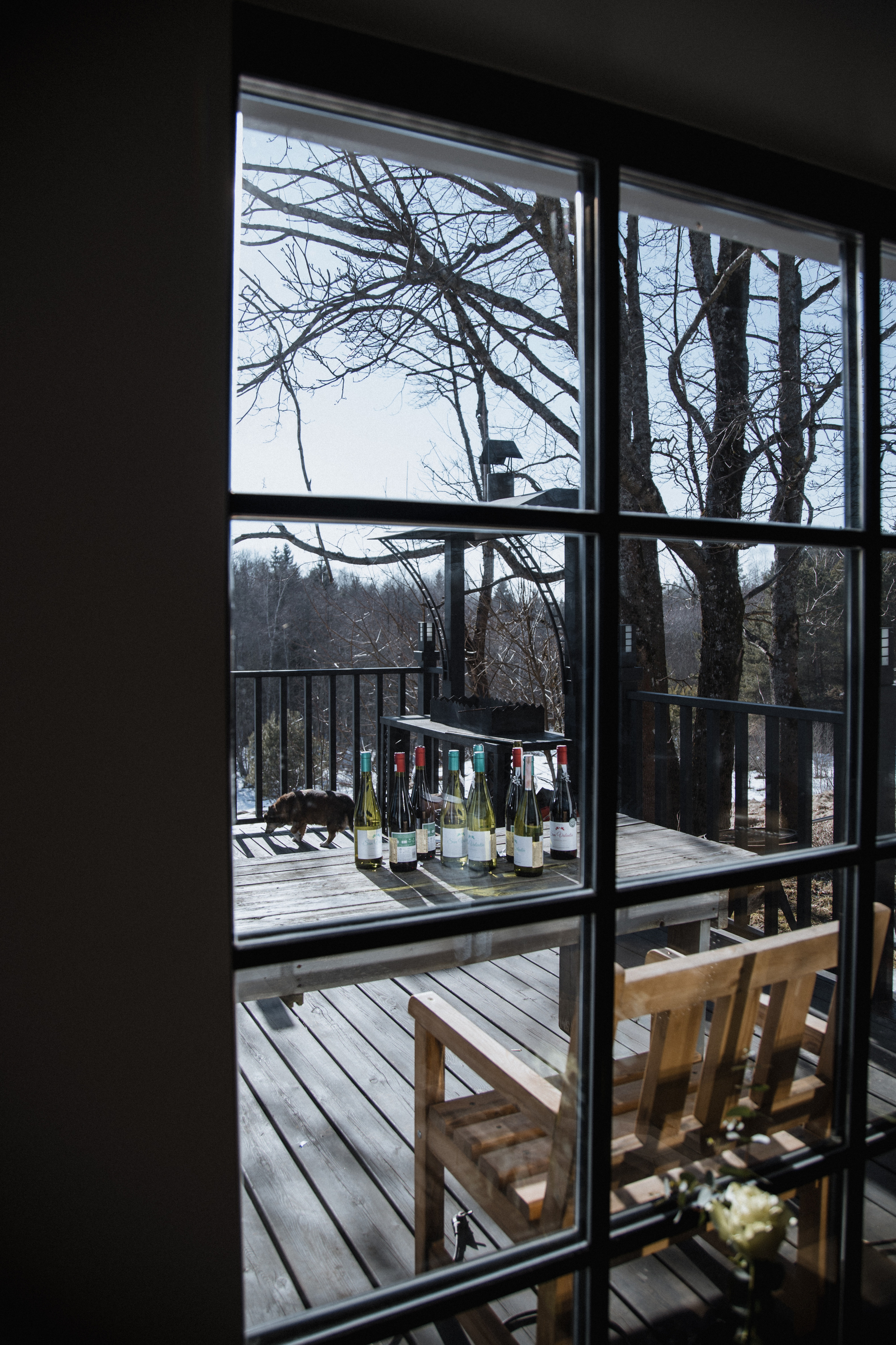 Рома и Кристина. Свадебный и портретный фотограф в Минске и по всему миру Ольга Нестер