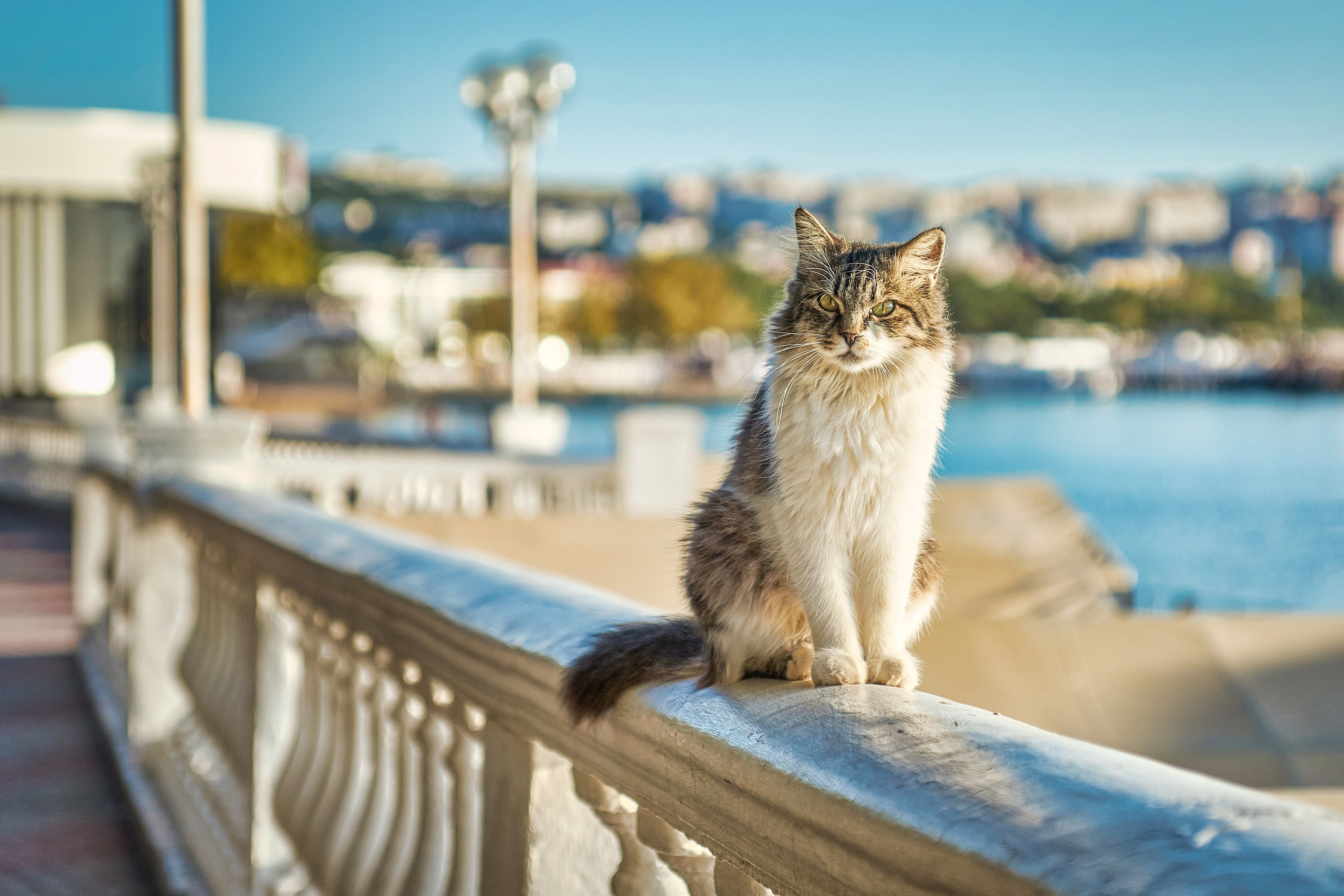 Геленджик. Фотограф Владимир Артамонов