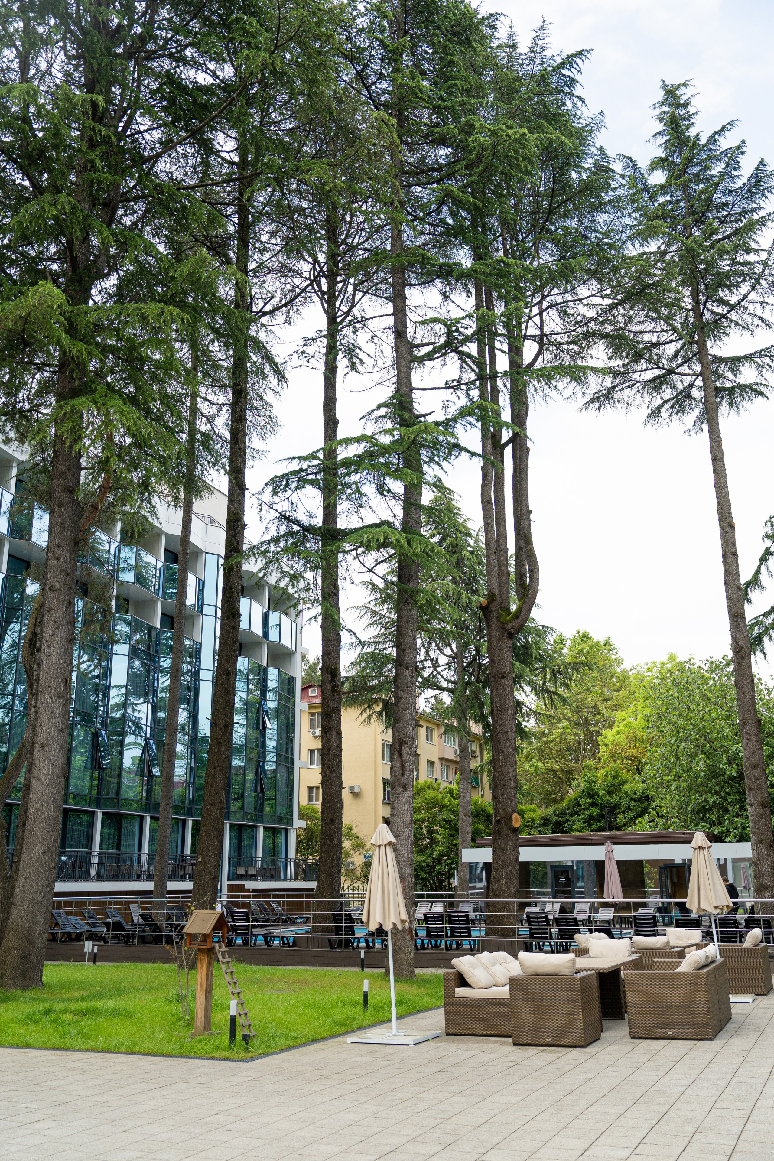 Mirror 4*. Фотограф и видеограф Елена Хмелевская