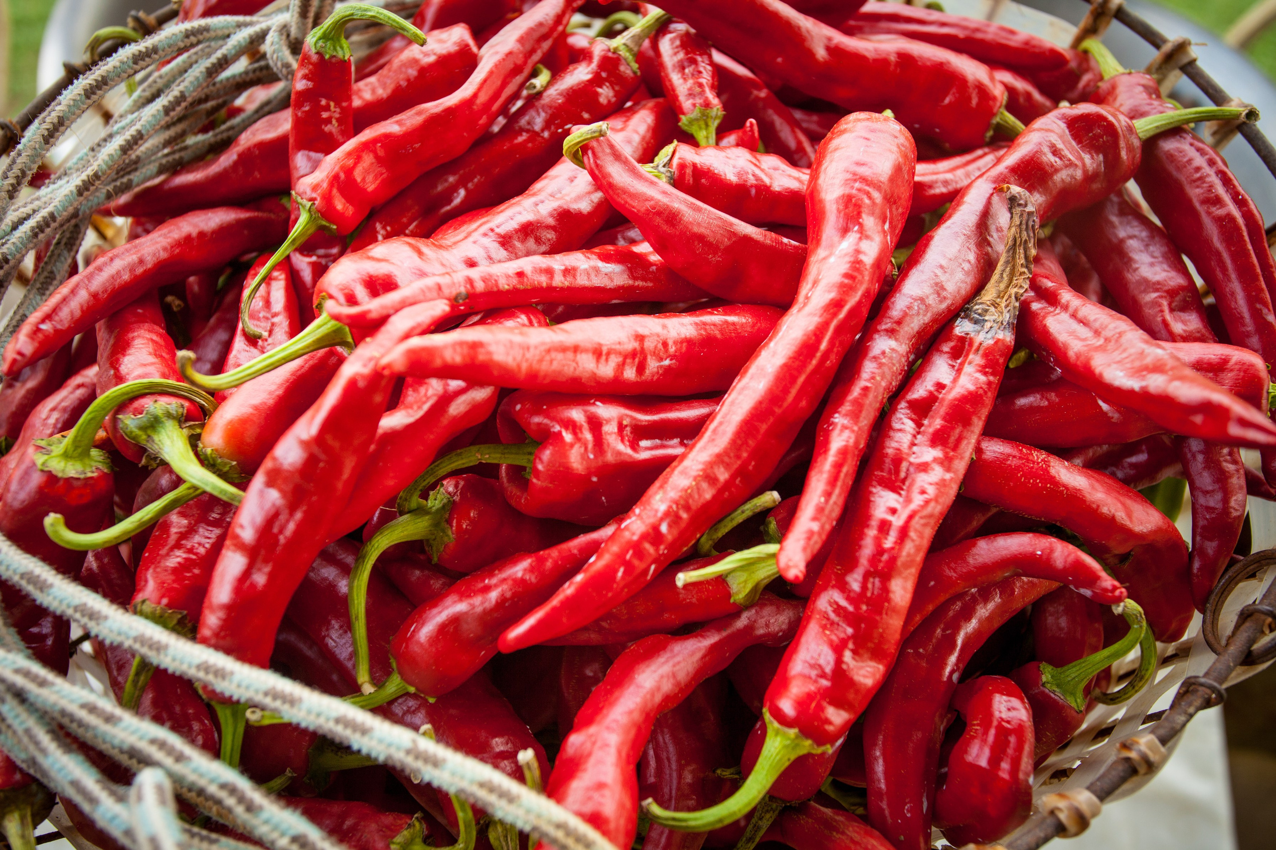 Фуд фото предметный фотограф. Фотограф Абхазия