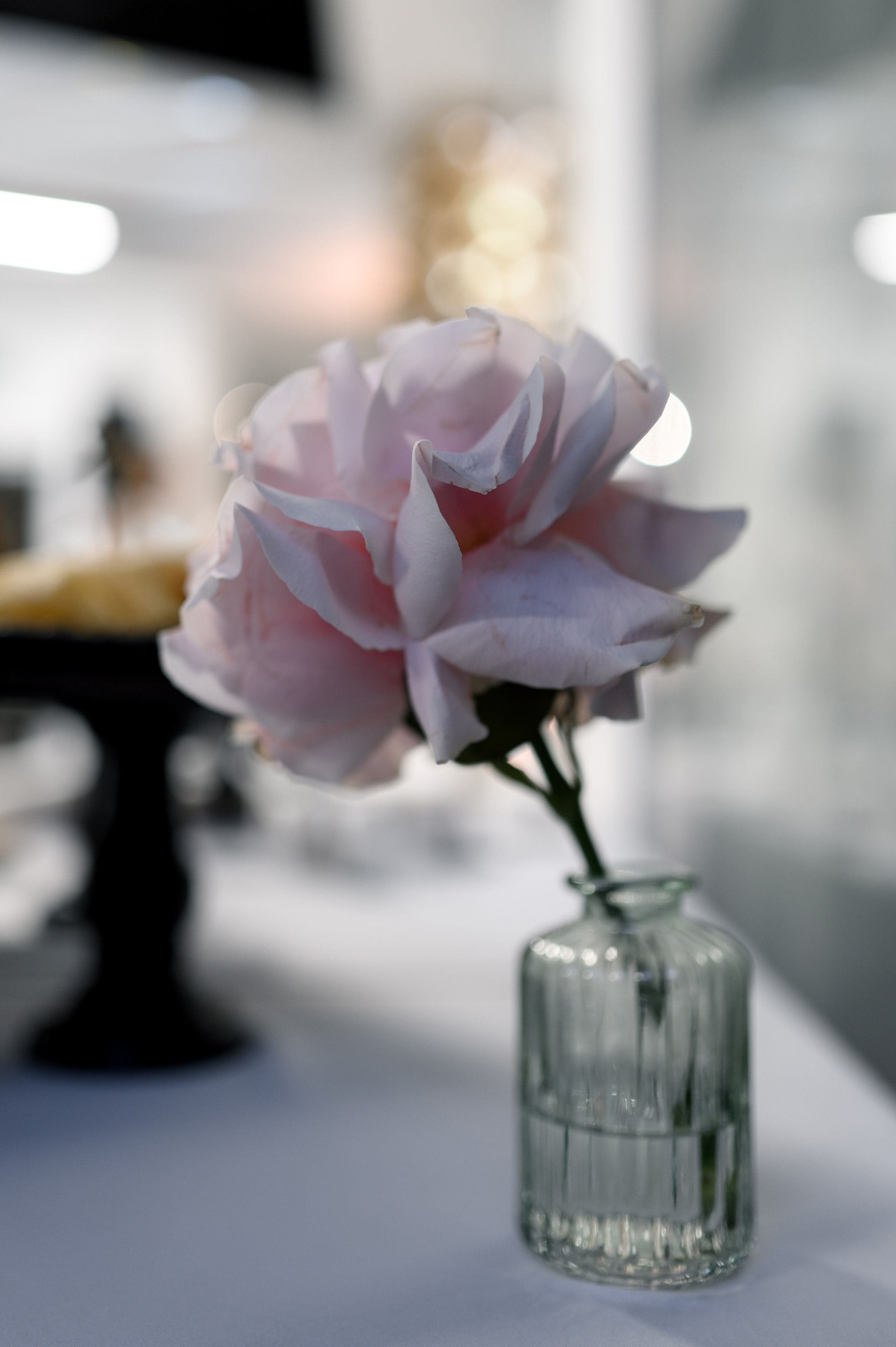 ZIMA LOVING LIFE. Свадебный фотограф Минск