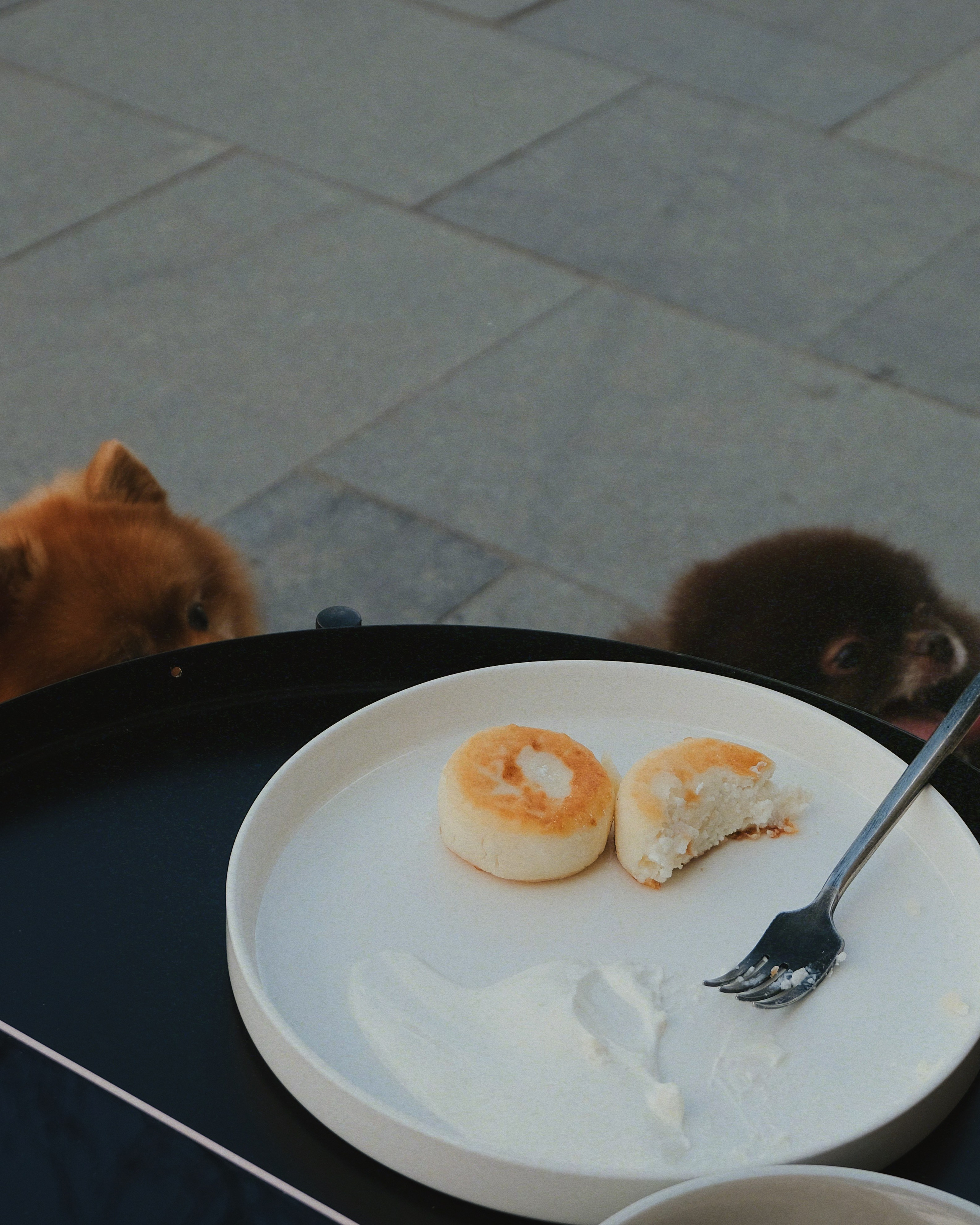 Питомцы. Татьян гертье