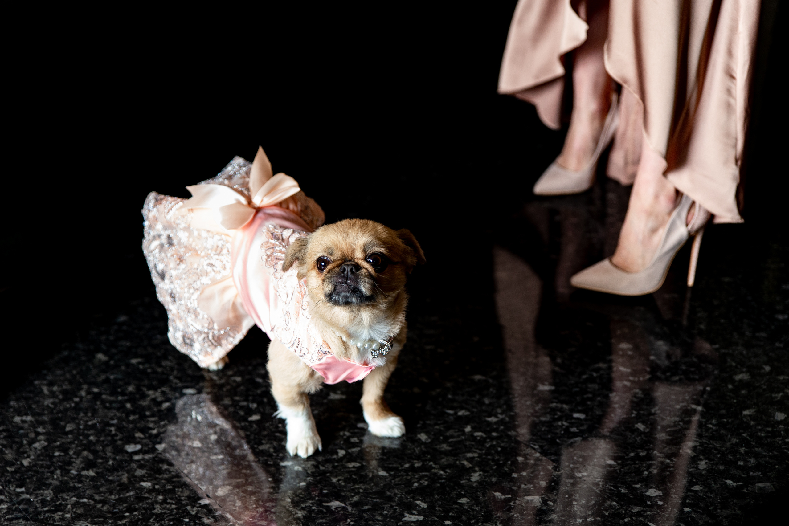 Иван и Ксения (Бутик-отель «Мона»). Свадебный фотограф в Москве    Еремин Анатолий