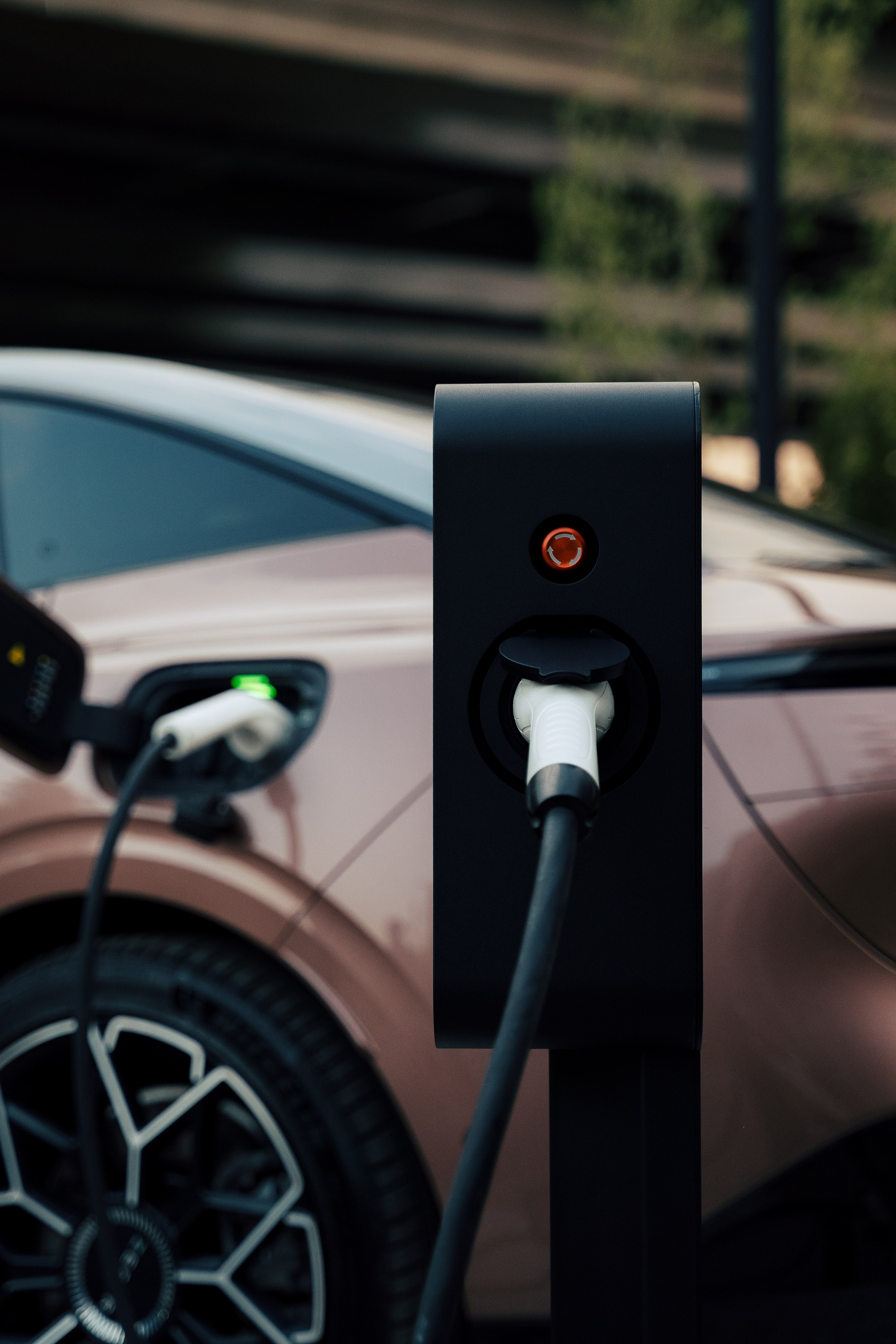 Edison Solo х Vetcity Clinic. Профессиональный фотограф и оператор в Москве — Максим Проценко