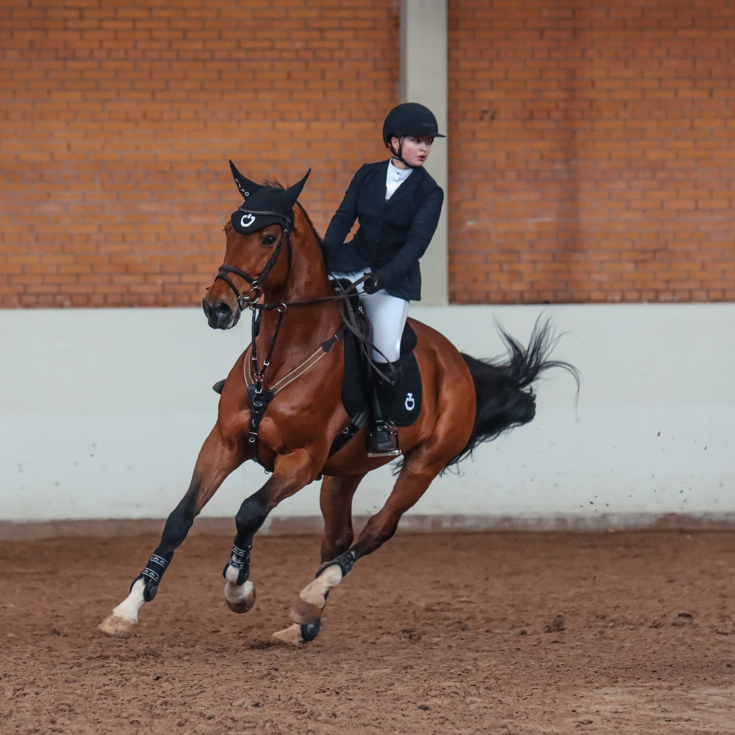 Лошади Евы Демидовой. Ева Демидова. Спортсмен по конкуру в Санкт-Петербуре