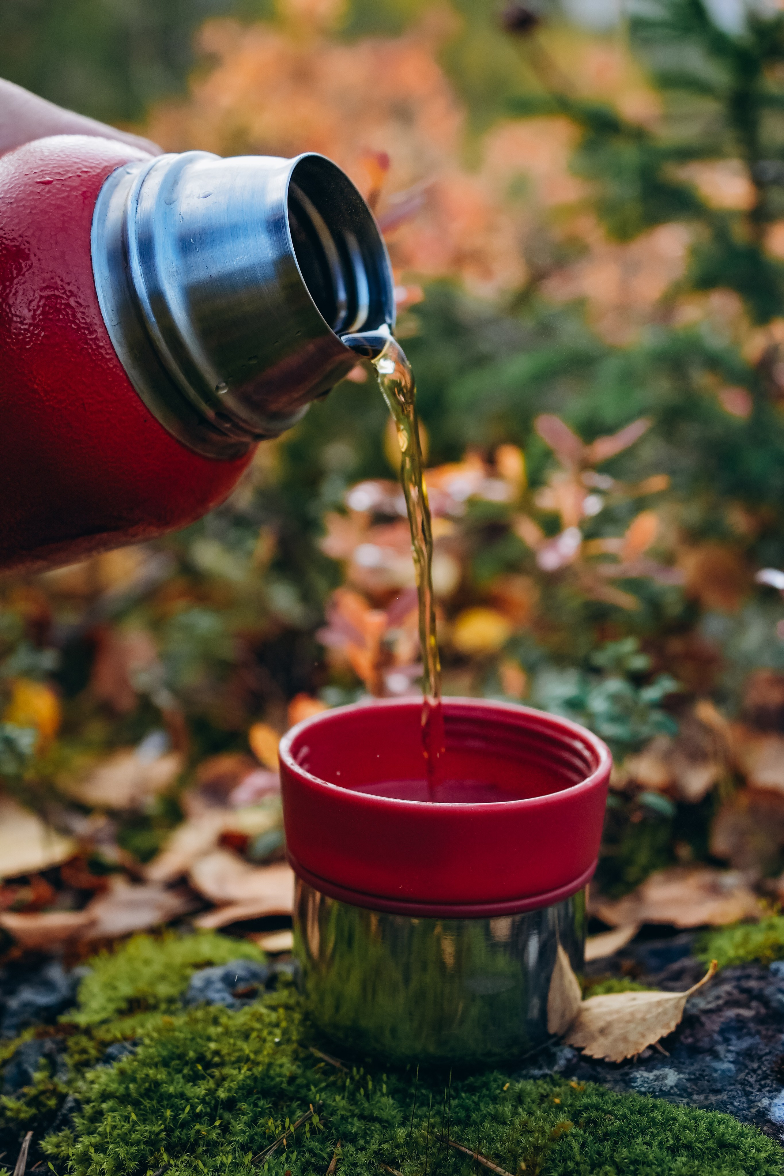 СЕВЕР. Event фотограф Степанова Александра