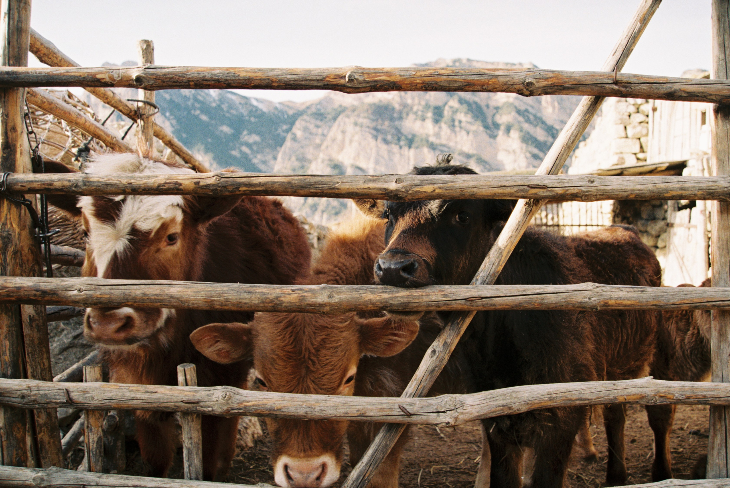 Фотографии Северной Осетии | Филипп Линзин. Репортажный и портретный фотограф в Санкт-Петербурге Филипп Линзин