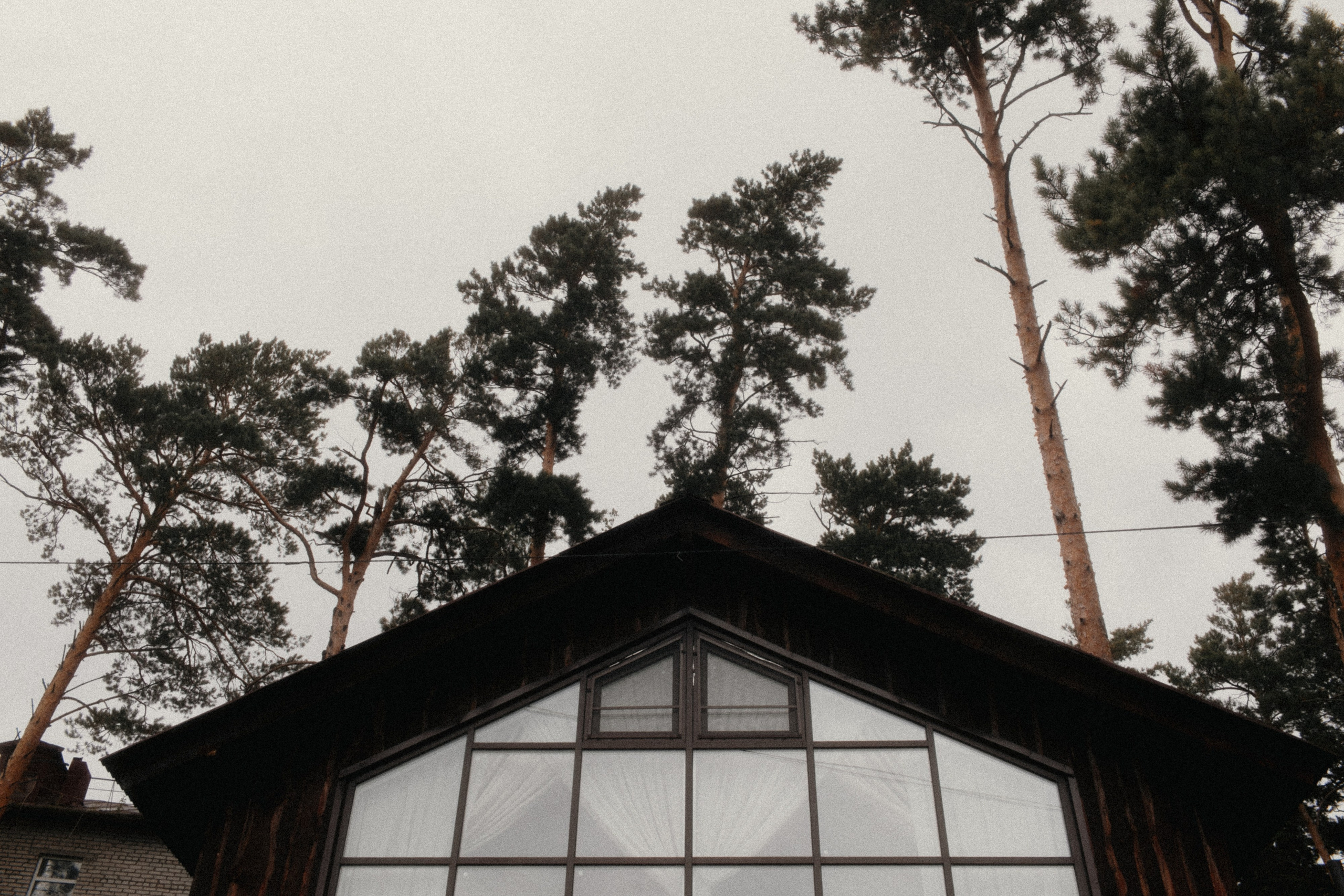 Николай и Елена. Свадебный фотограф Артак Костанян