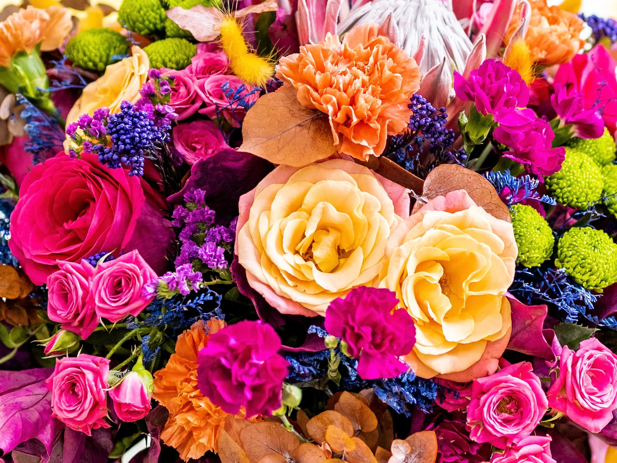 Цветы-Экспо 2024. Фотосессии и репортаж — Фотограф в Москве — Рина Серёгина