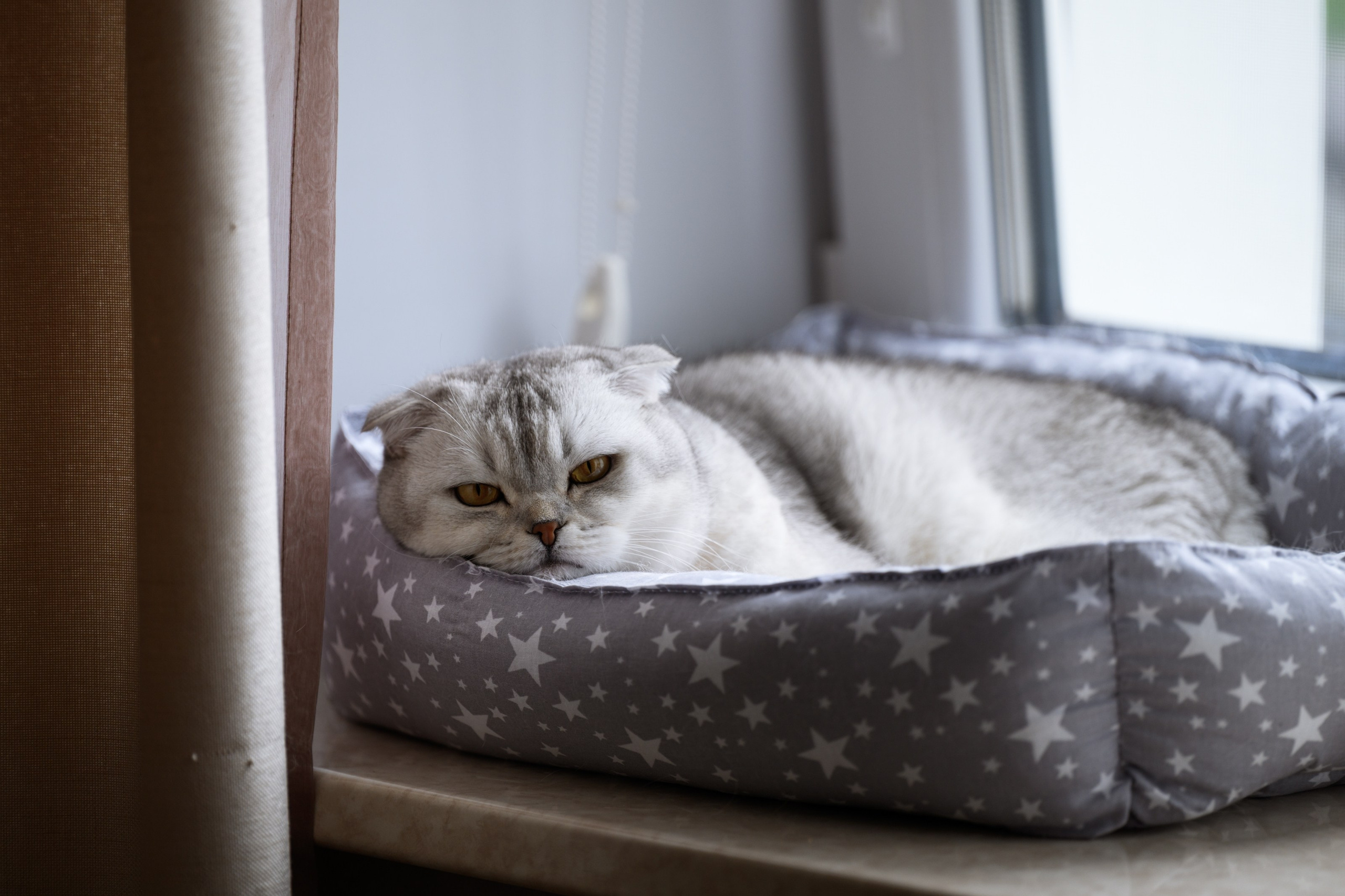 Алексей и Даша. Главная