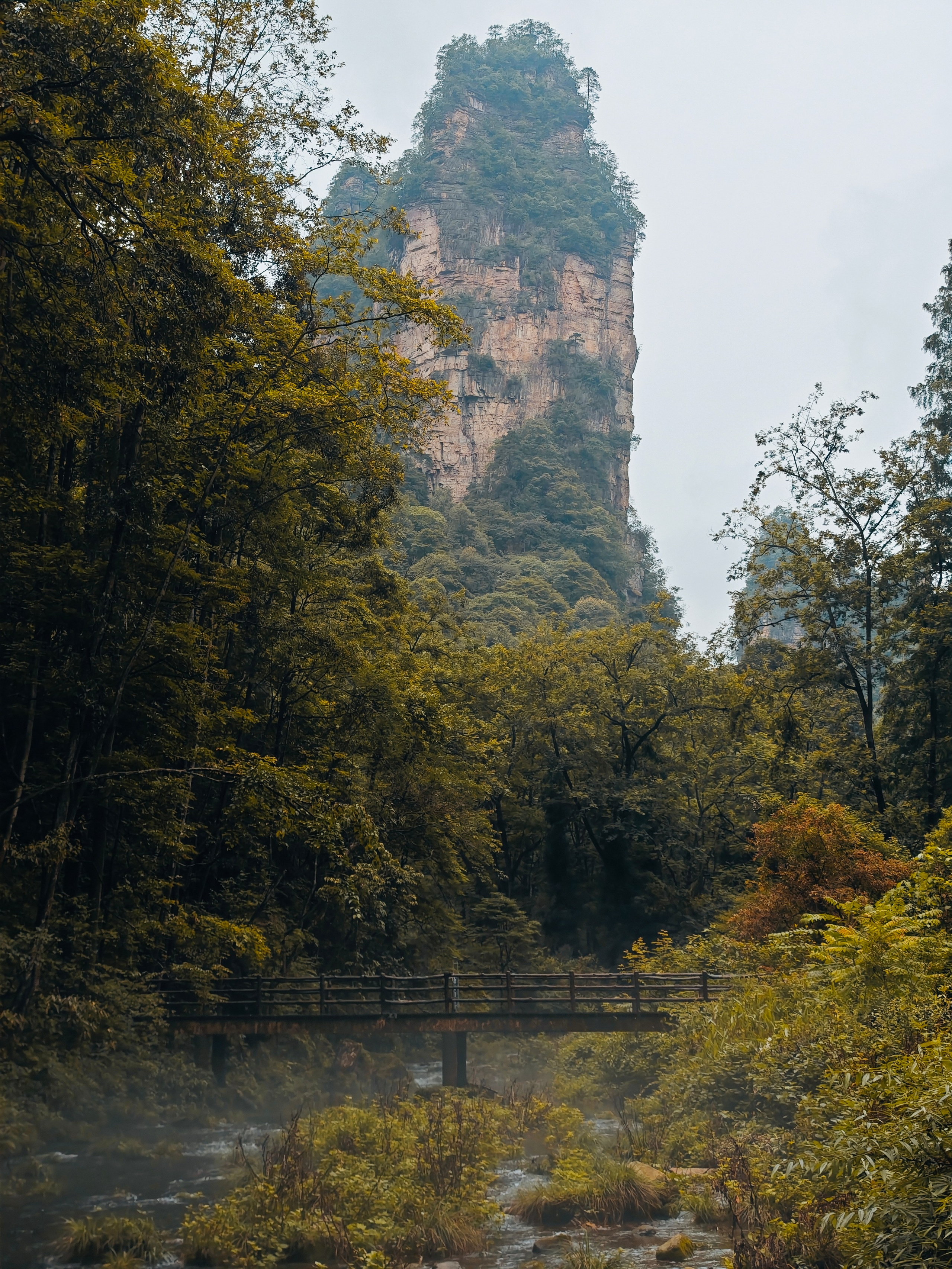 The Great Journey to China. Brjankin.com