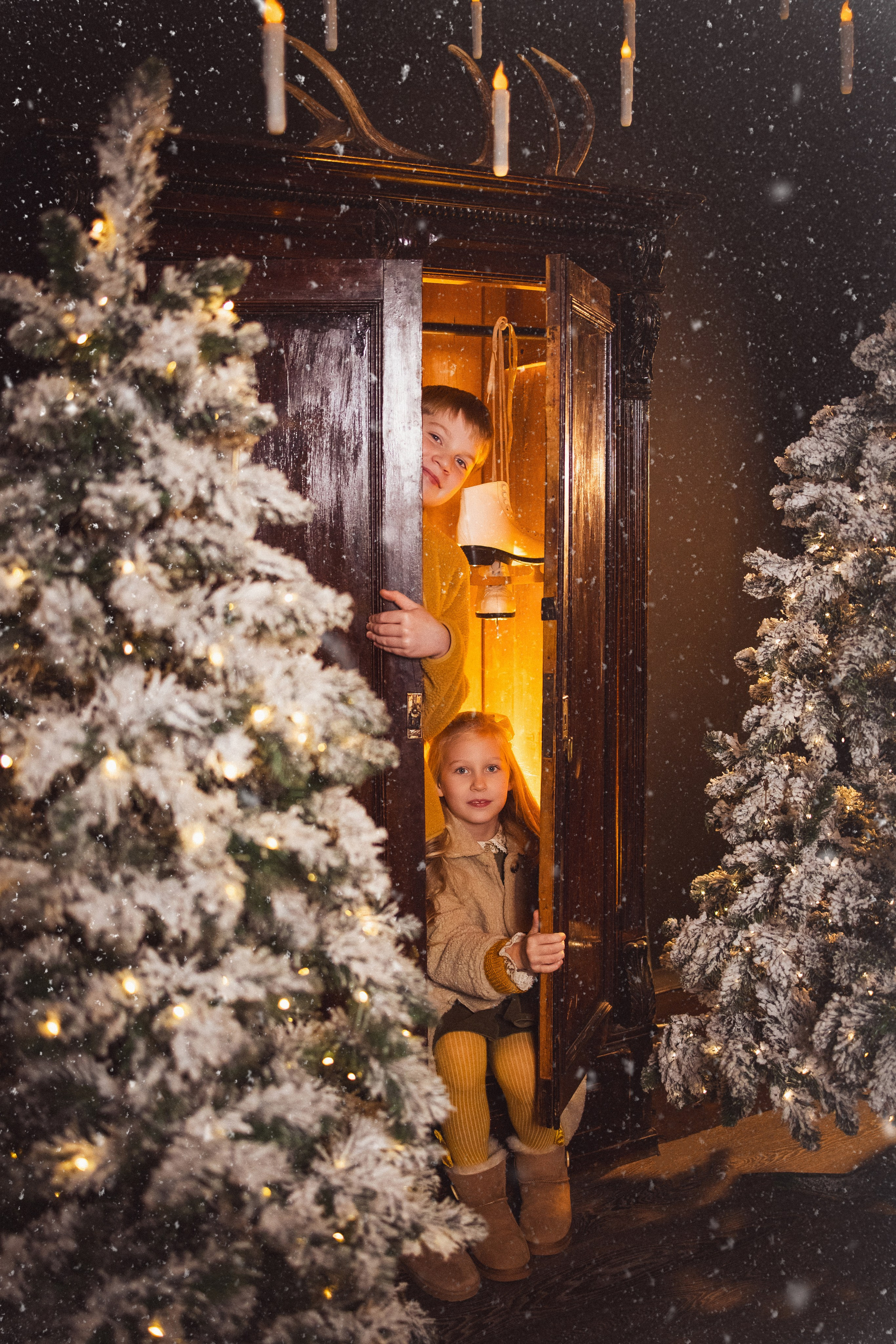 Фотосессия с собачками Корги в зимних декорациях фотостудии «Майя», город Краснодар. Семейный и детский фотограф в Краснодаре Анна Трашкова