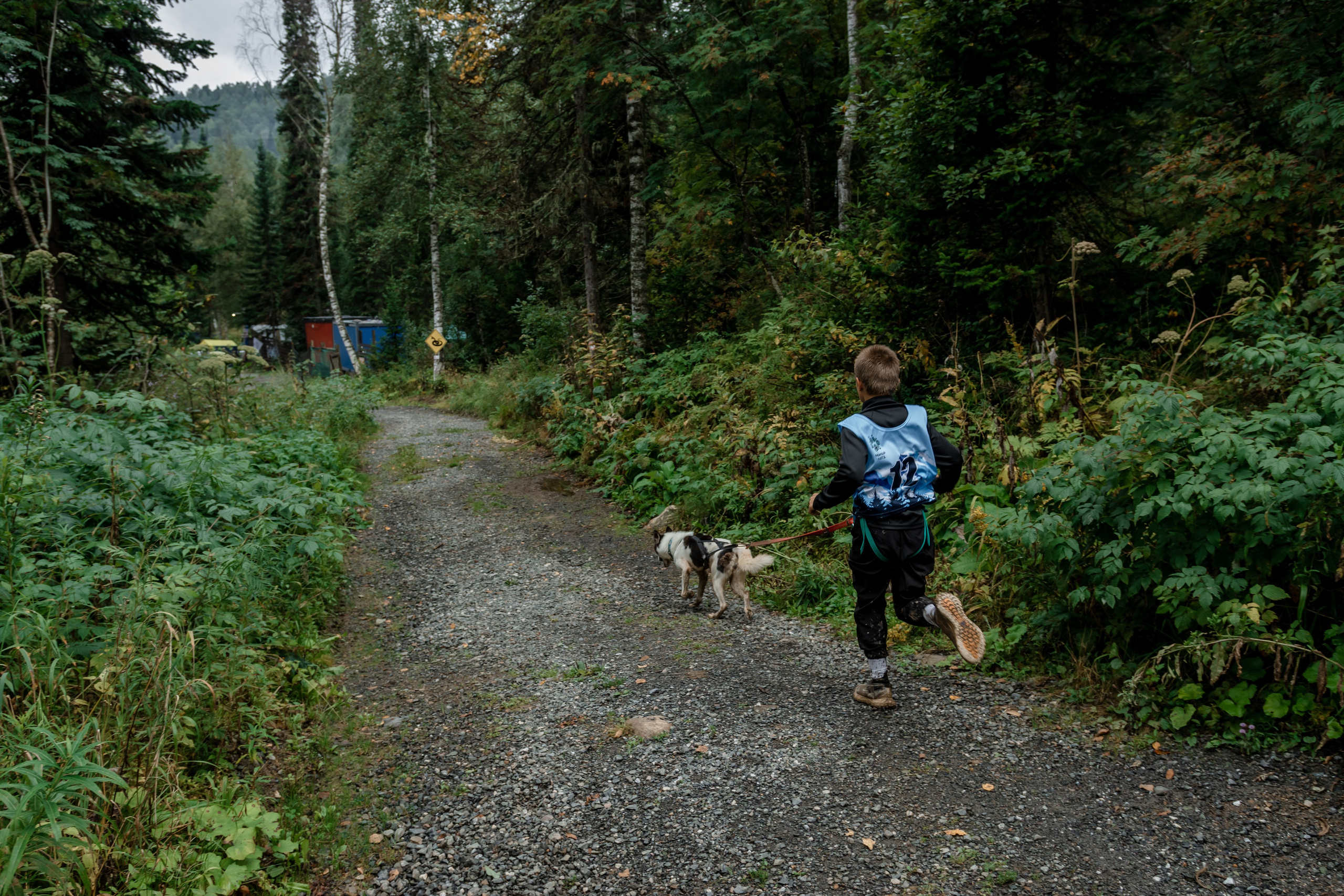 Дог-треккинг