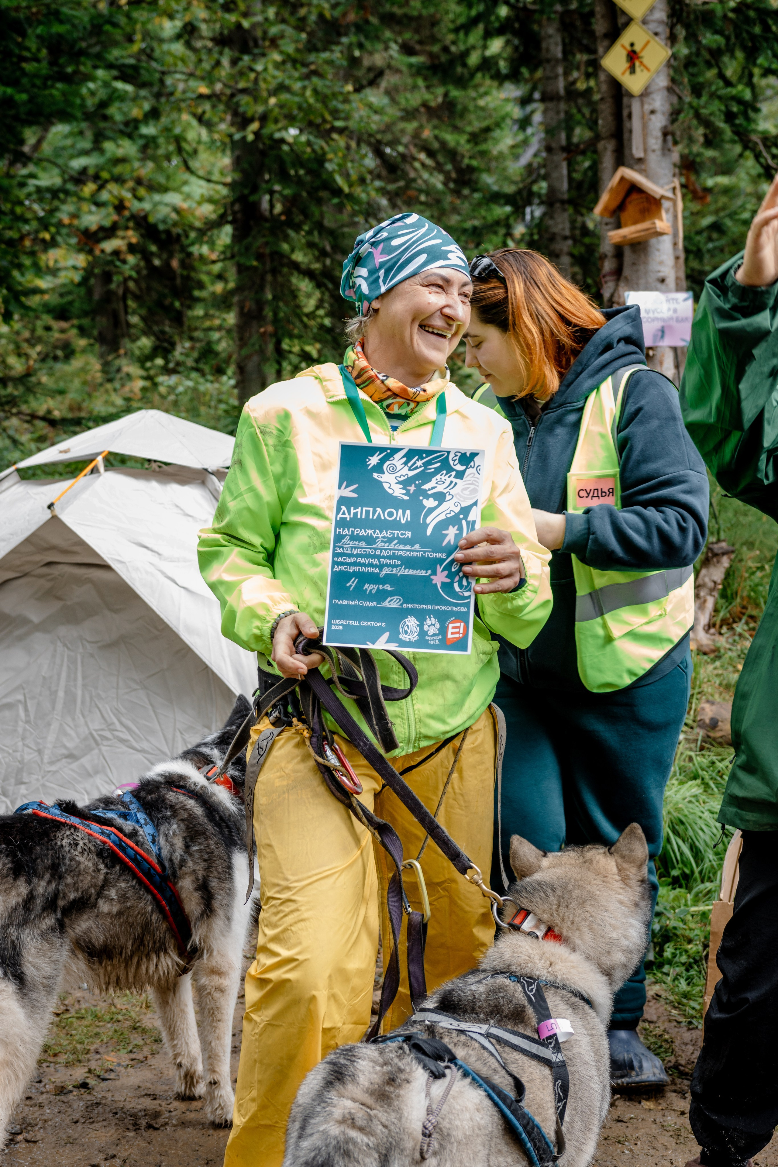 Дог-треккинг