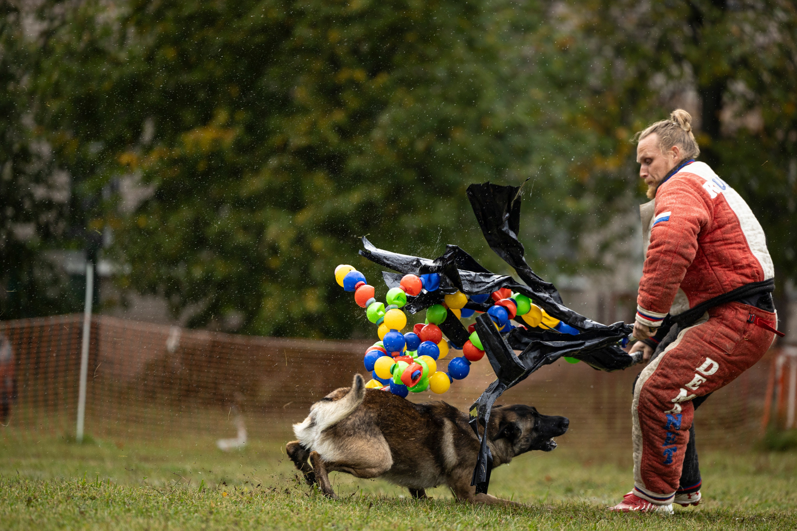 Испытания по Мондьорингу г. Пушкин. Фотограф-анималист Анна Маринич