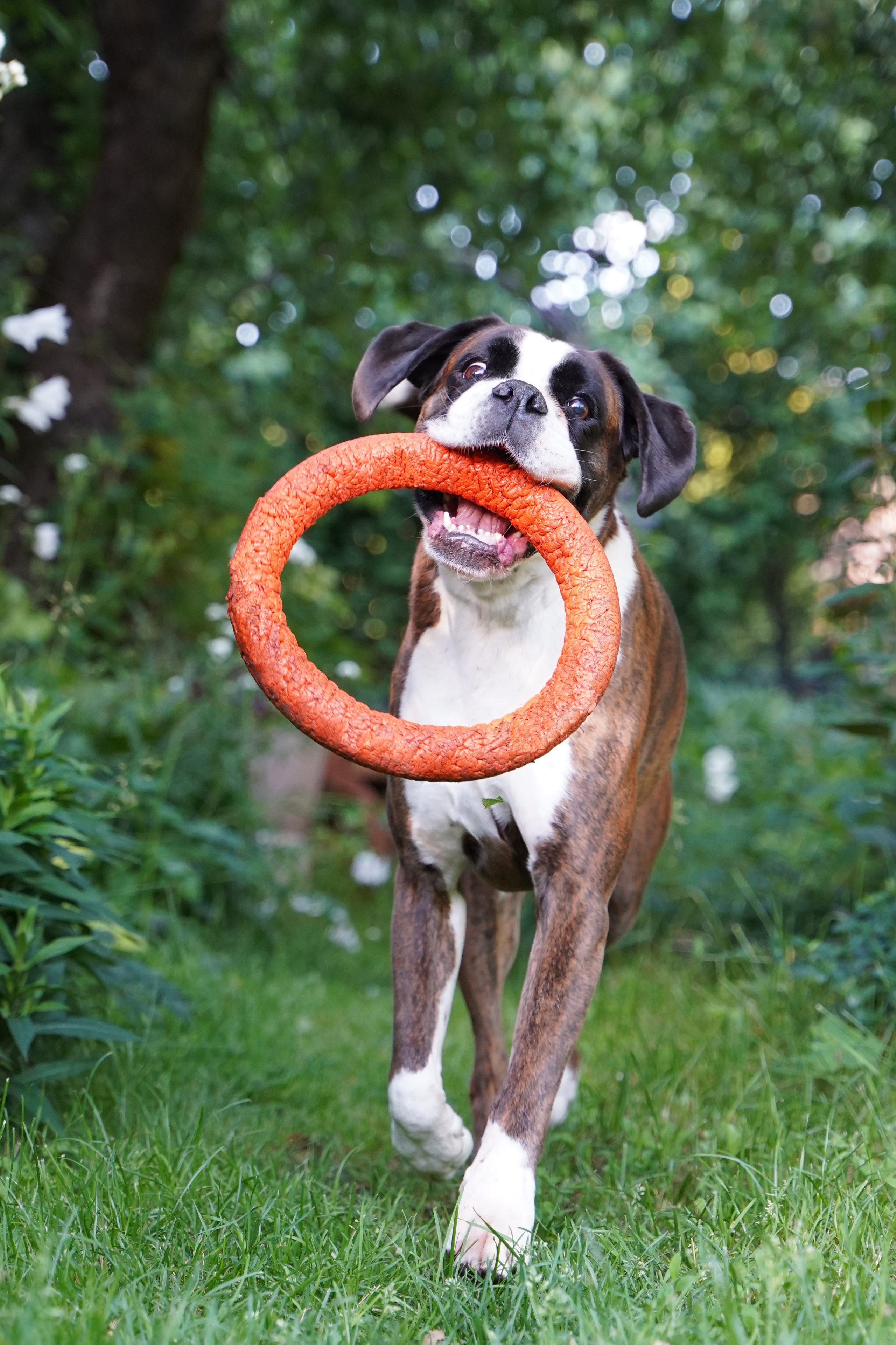 Отзывы. Фотограф Анастасия Ветковская, Москва