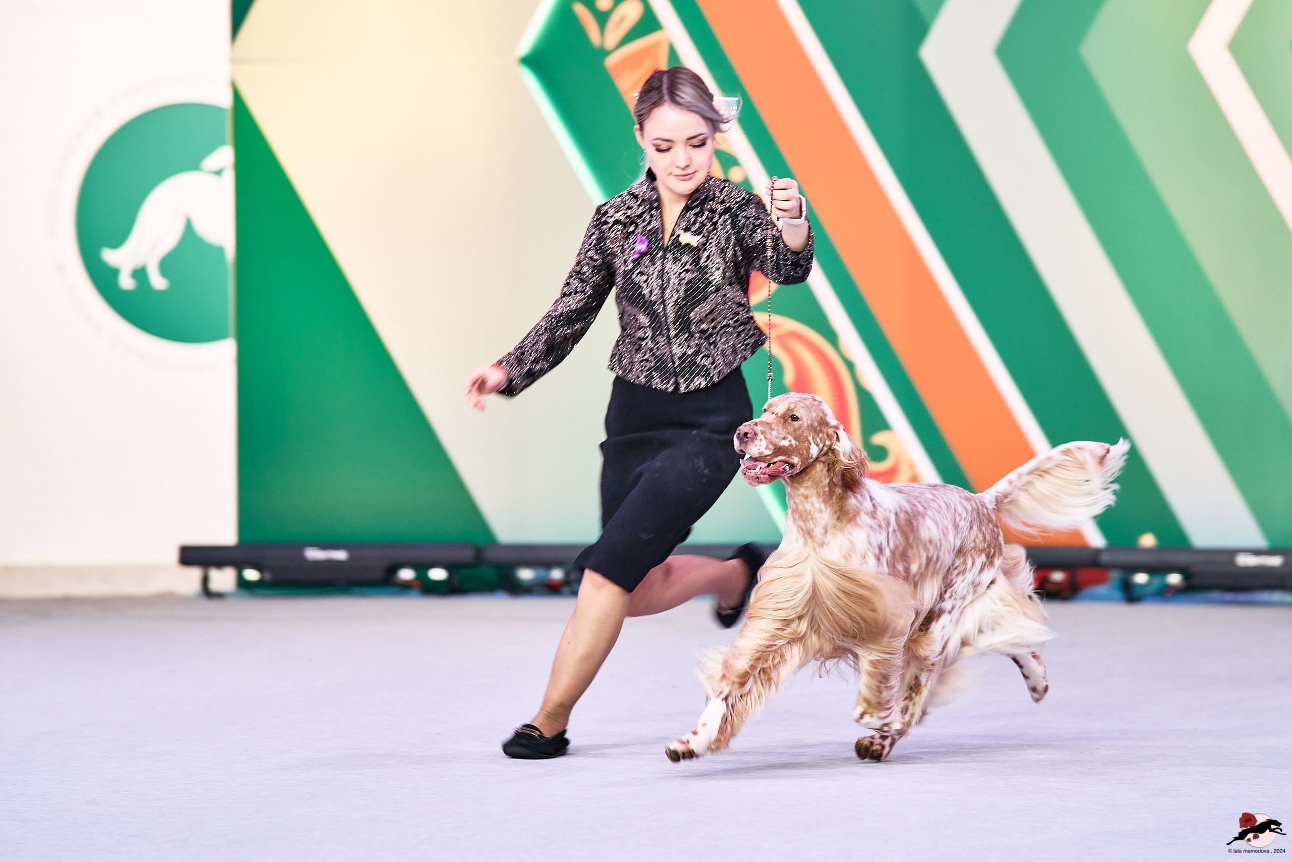 16.11.2024 «ЕВРАЗИЯ. КУБОК ПРЕЗИДЕНТА РКФ 2024»