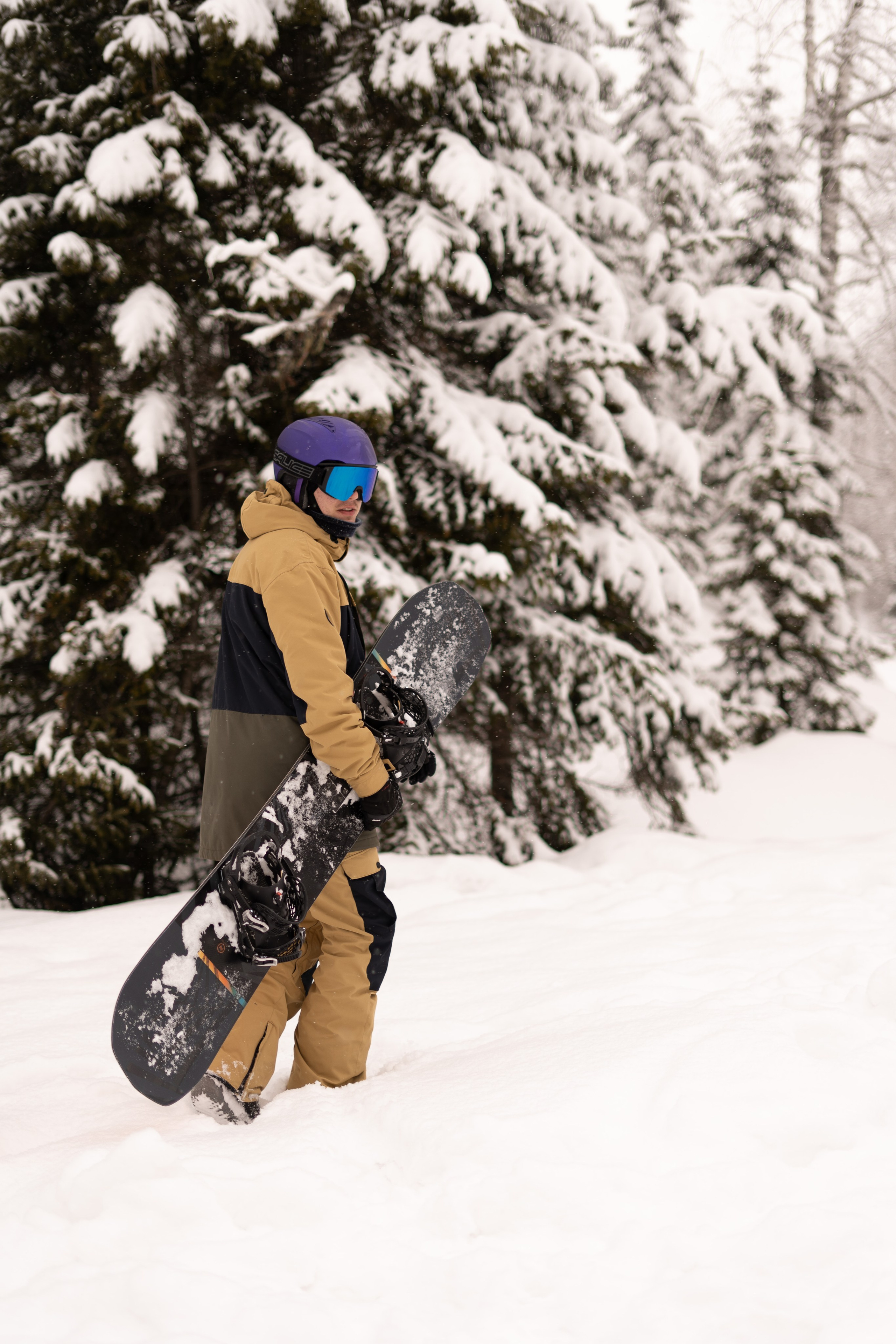 Джой 21.03.24. Анастасия Паршукова — фотограф Шерегеш Новосибирск