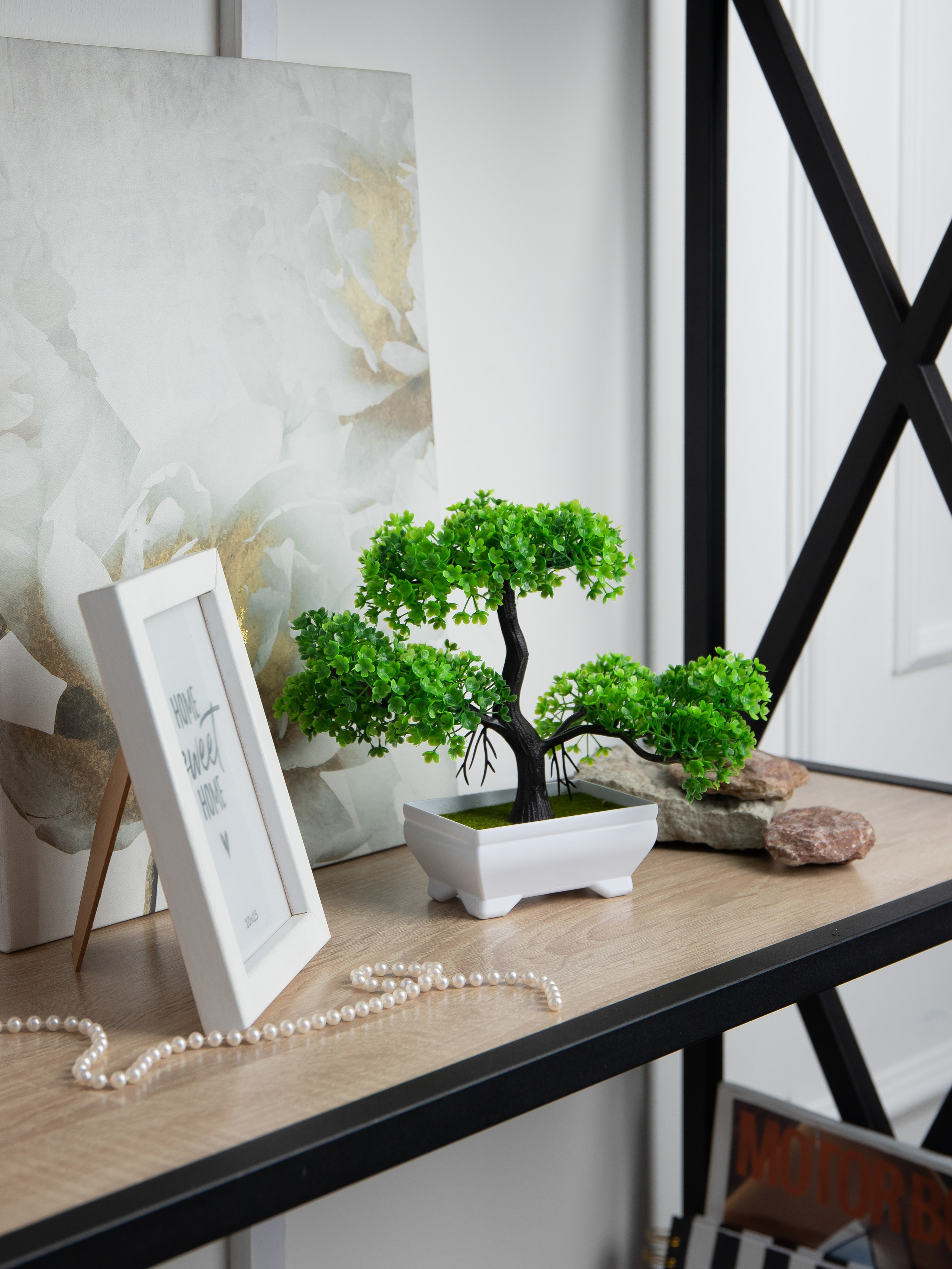 Декоративные деревья. Коммерческий фотограф в Санкт-Петербурге (СПб) Екатерина Панчёха, Панчёшка