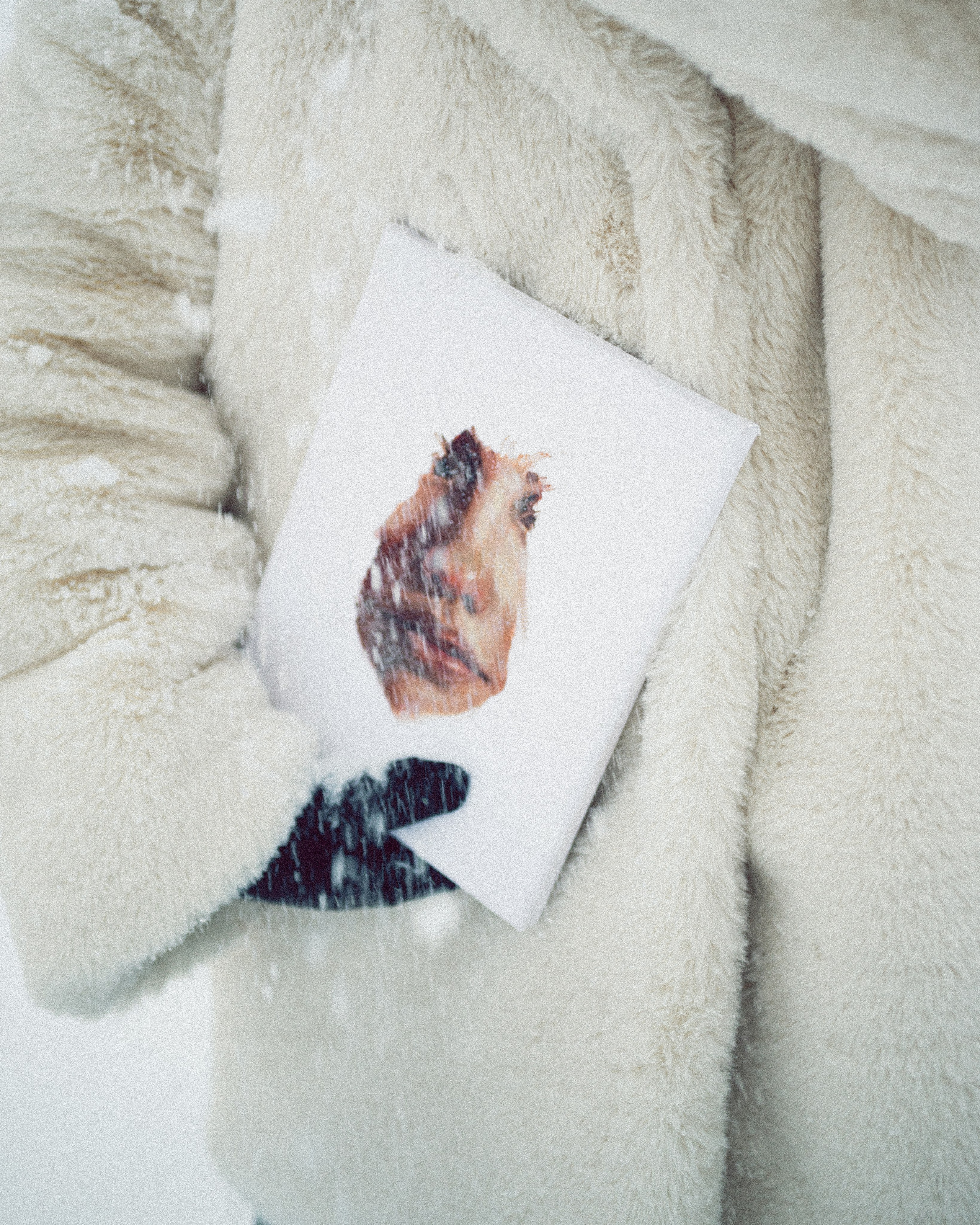 Художница: Аня