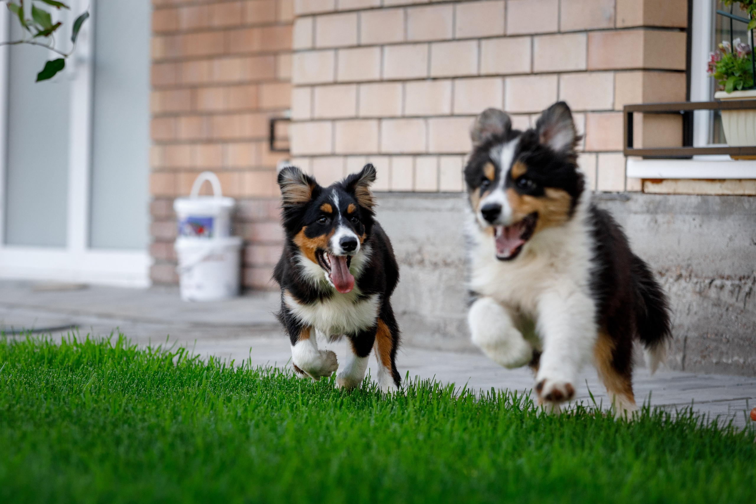 Смешарики. О нас