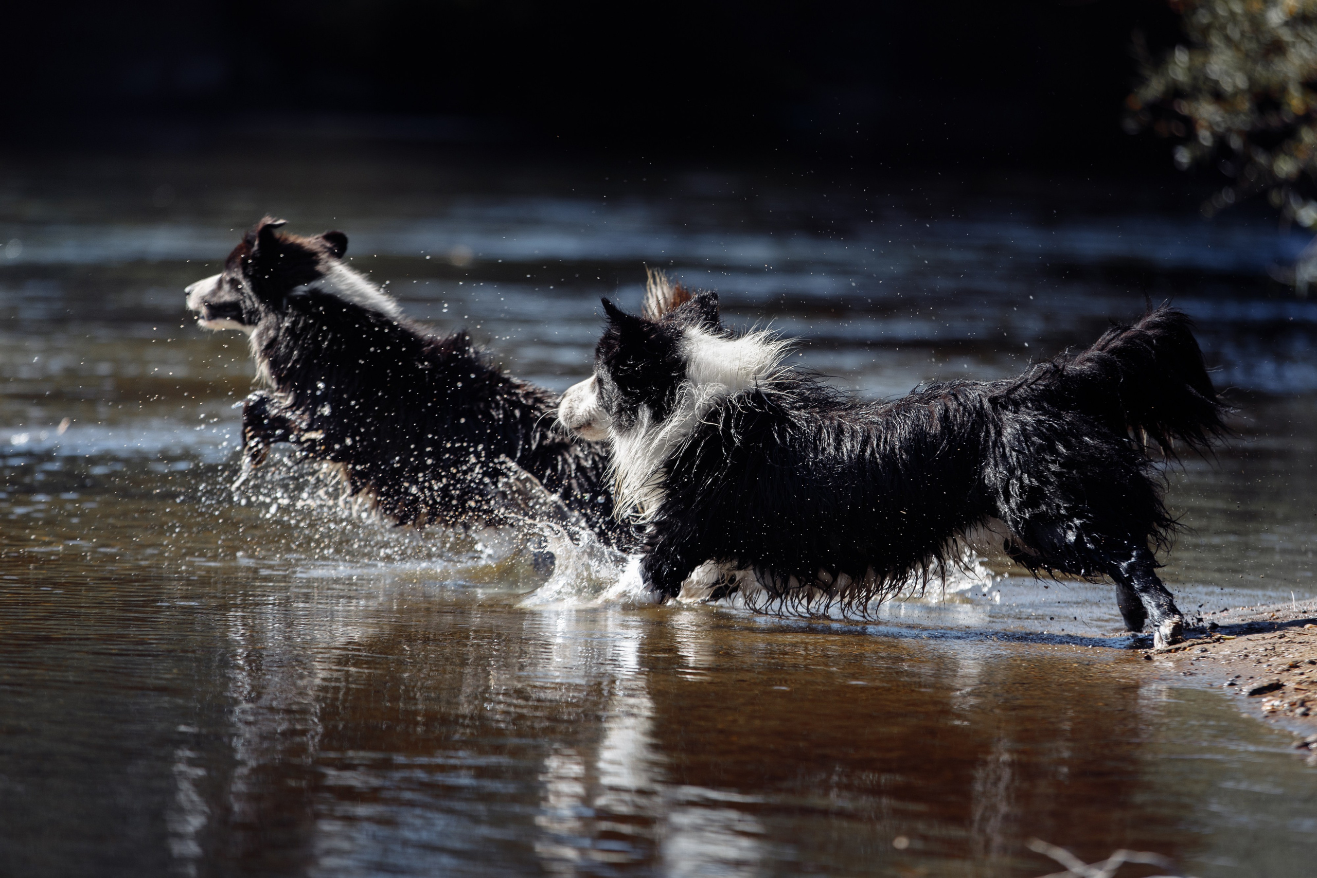 Водяные в Новотроицке. О нас