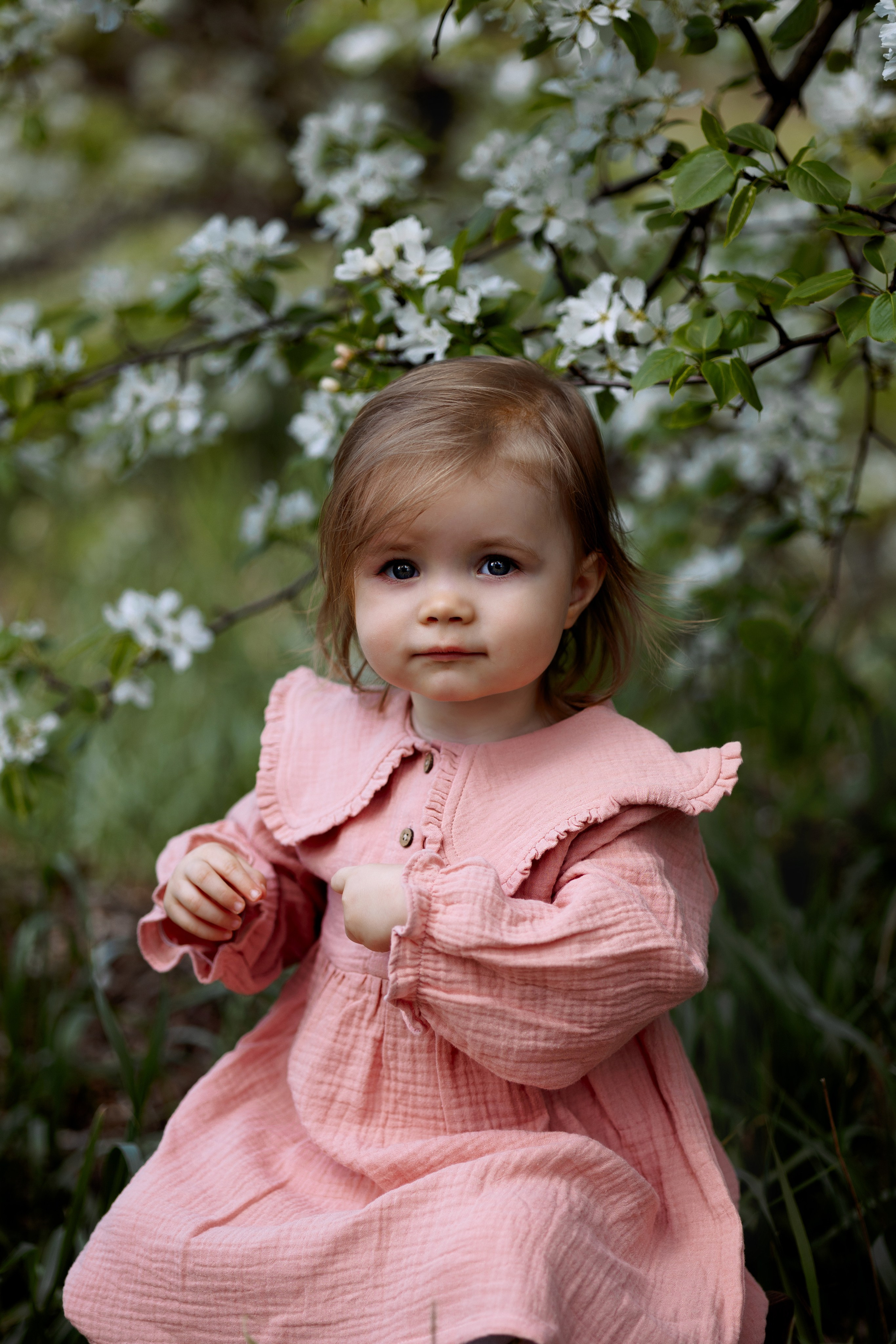 Лизочек. Фотограф в Омске