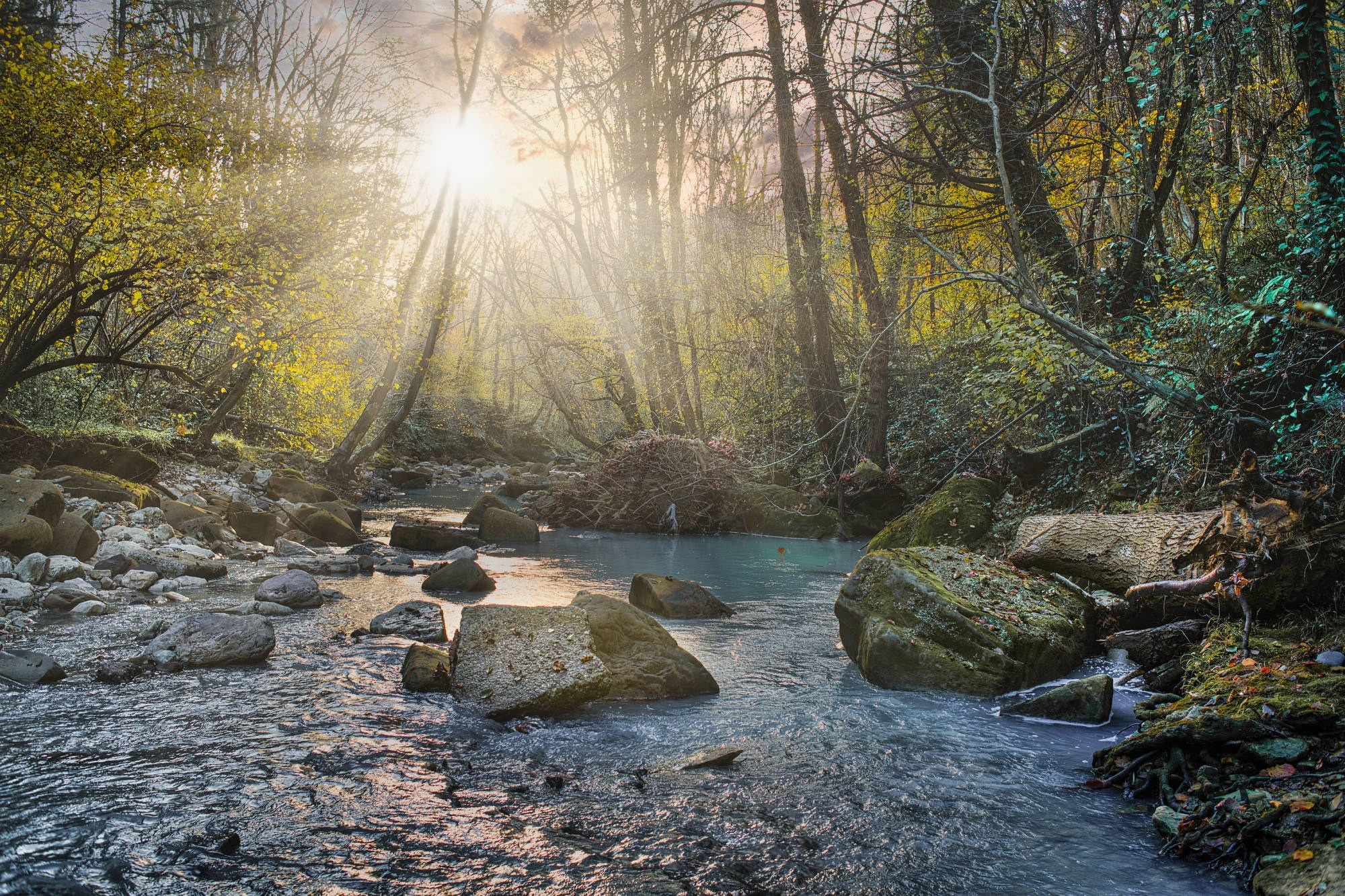 Разное. Фотограф в Сочи Владимир Ачинцев