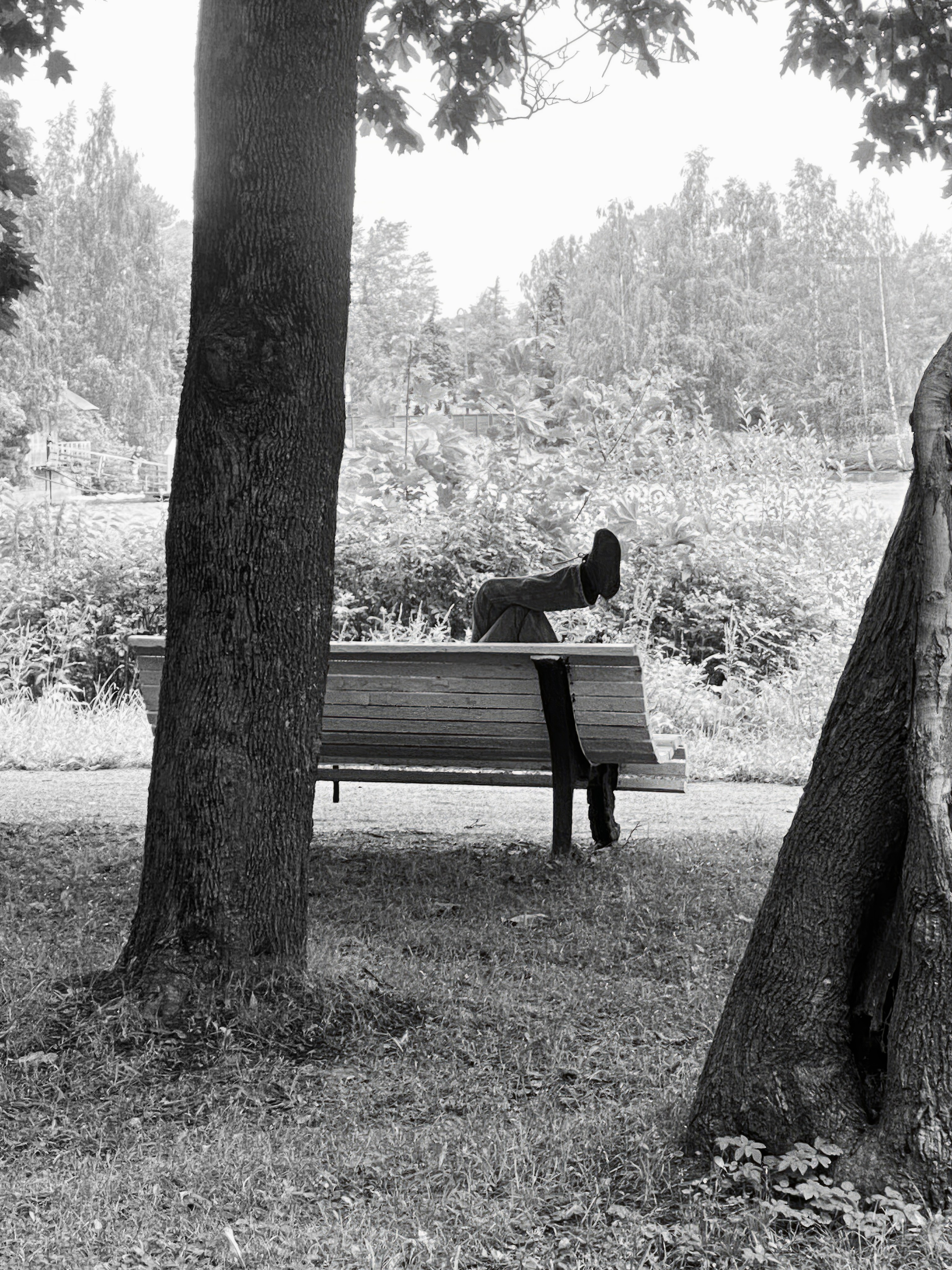 Решающий момент — авторская фотография Ма. Ма