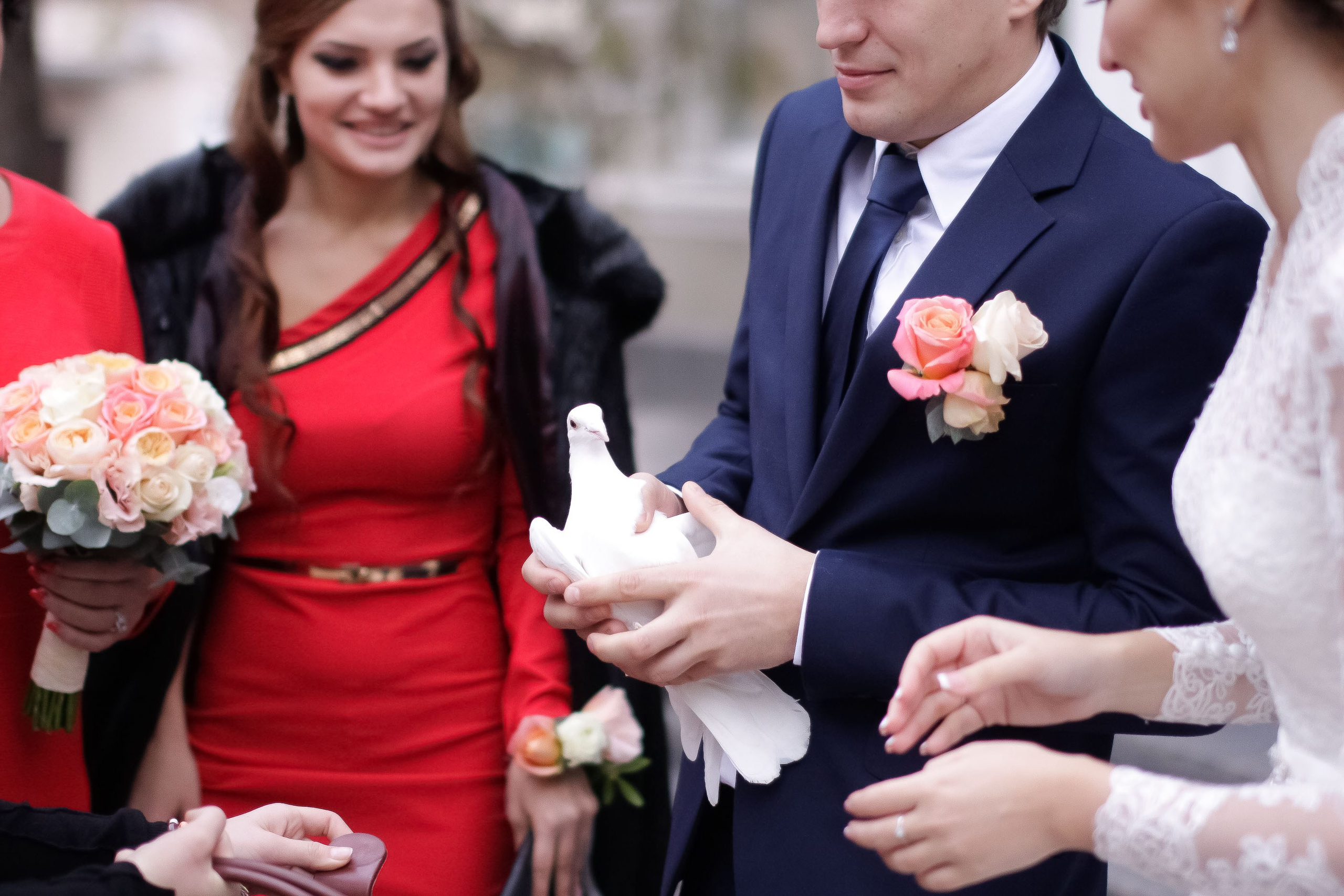 Регистрация/Register. Максим Матвийченко и Виктория Басова профессионалы своего дела