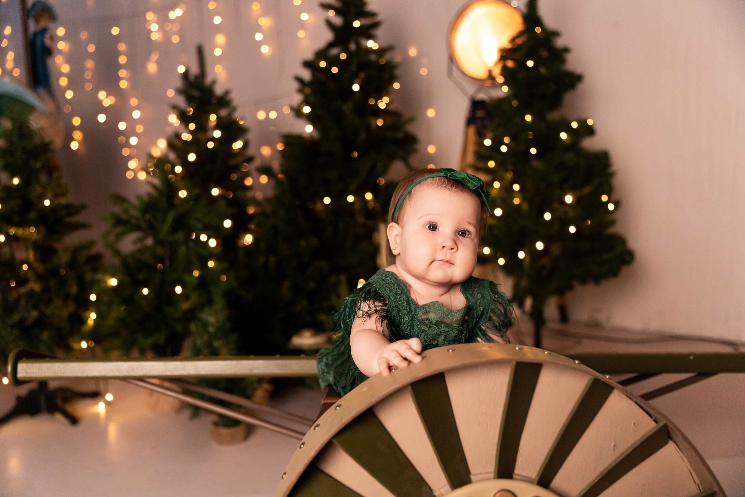 Арина, Кирилл, Аристарх и Афина. Семейный фотограф в Екатеринбурге и Красноуфимске Евгения Лягаева