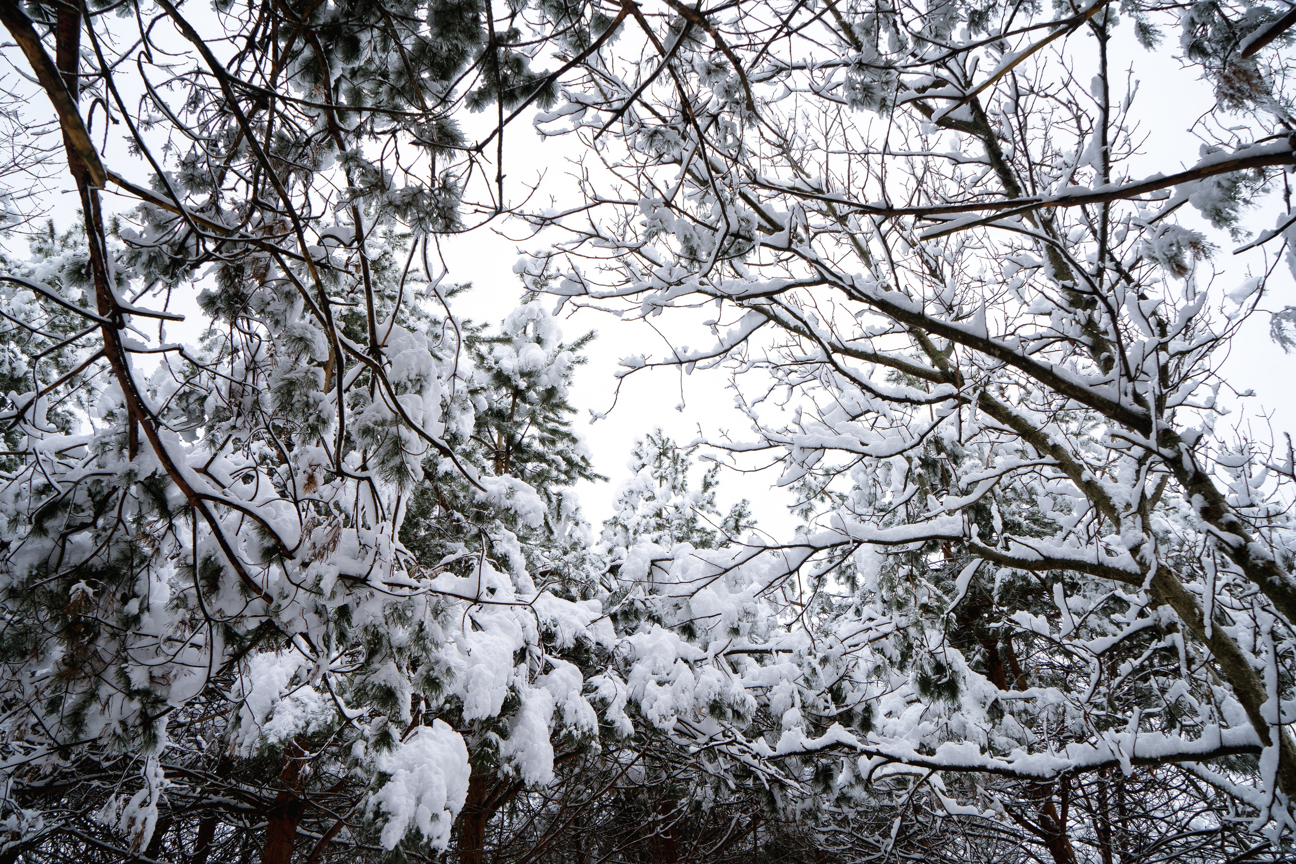 Зима 2024. Свадебный и семейный фотограф/видеограф в Краснодаре Наталья Осинская