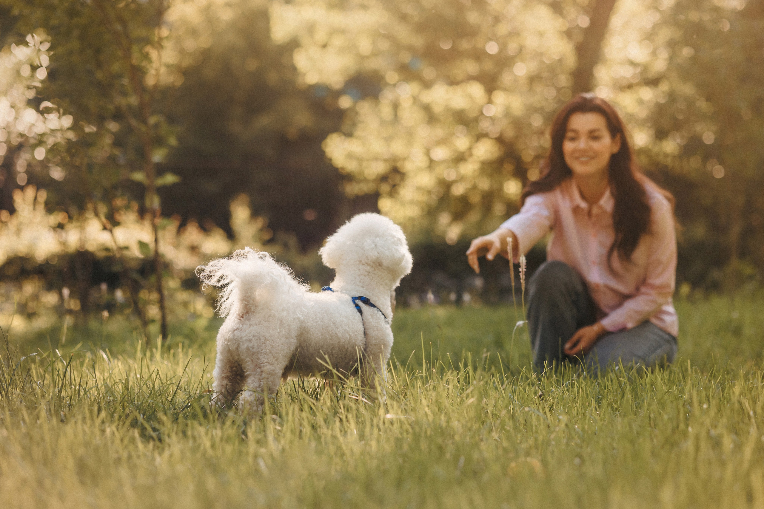 Марина, Данил и Бруно. Фотограф-анималист Елена Радченко, Москва