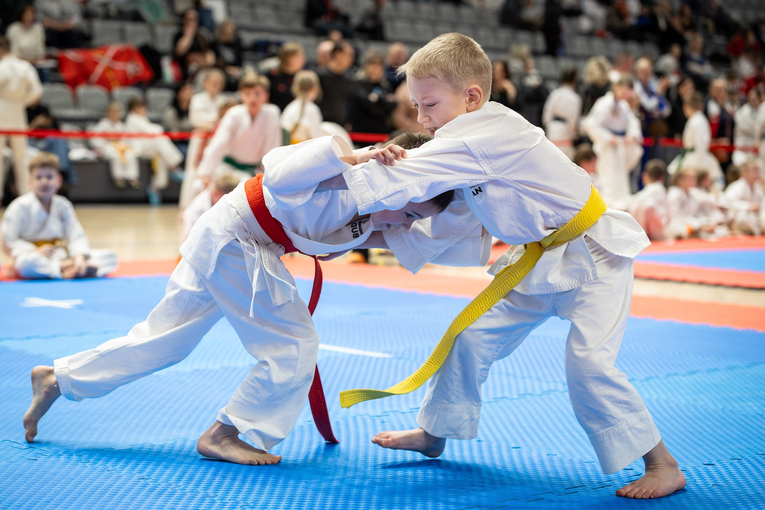 Чемпионат и Первенство России по Фудокан каратэ. Свадебная фотосъёмка в Москве, Туле