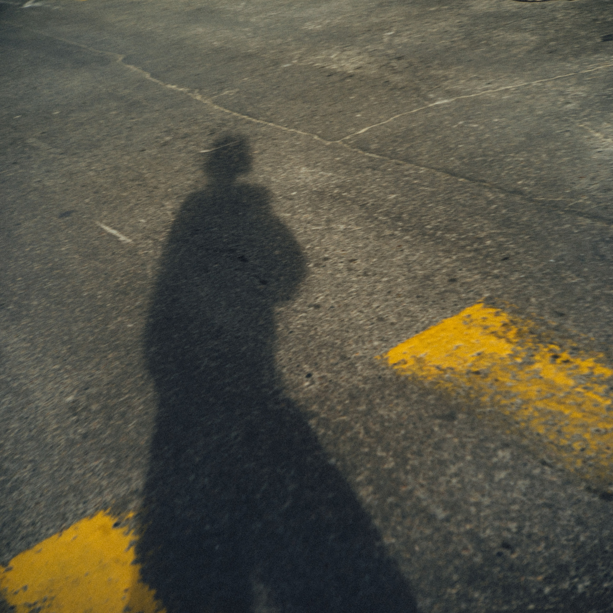 Daily. VISUAL ARTIST · KRONGAUZ ANASTASIA