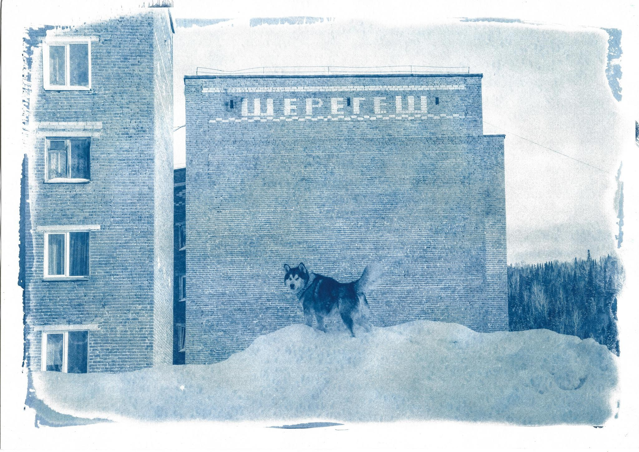 Дом снега. Shatohina.com