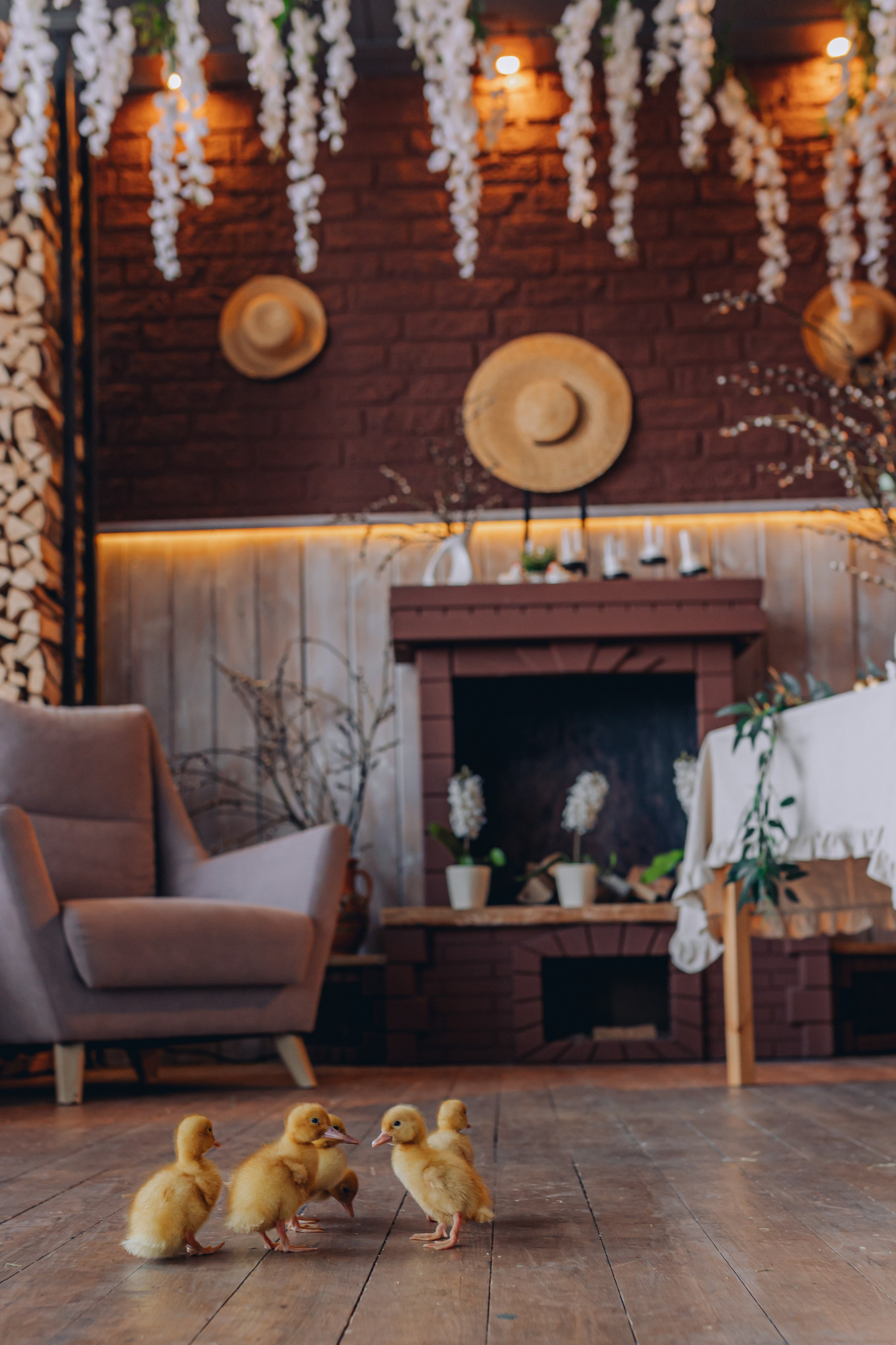 ETO Studio — фотостудия в Минске. Понравилась студия? Напишите — организую съёмку именно здесь. Фотограф в Минске Людмила Дутко