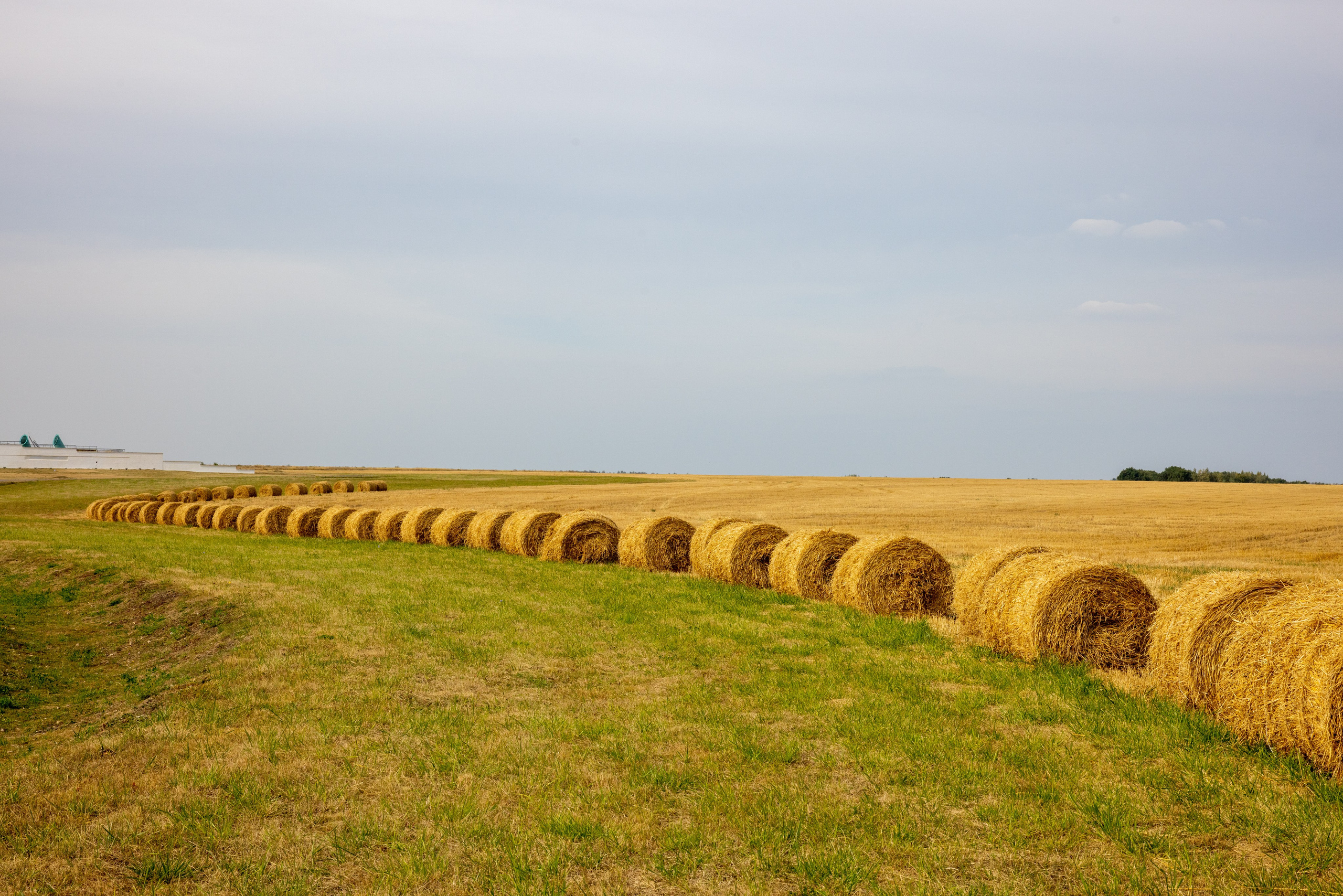 Куликово Поле. Фотограф в Туле Крупский АнДРей. Фотостудия «КАДР71» в Туле