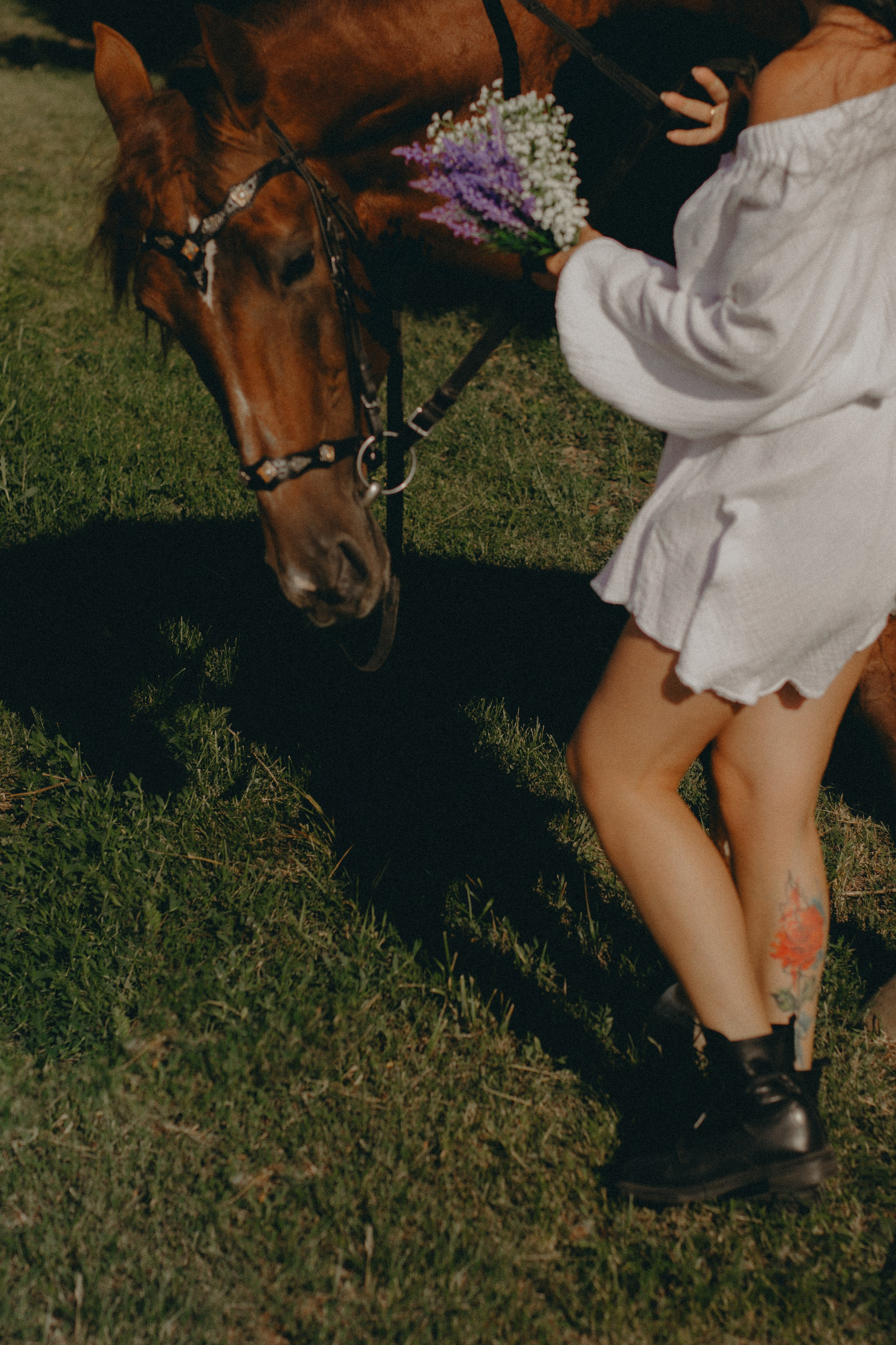 Ипподром. Женский и семейный фотограф в Казани Гульназ Гизетдинова