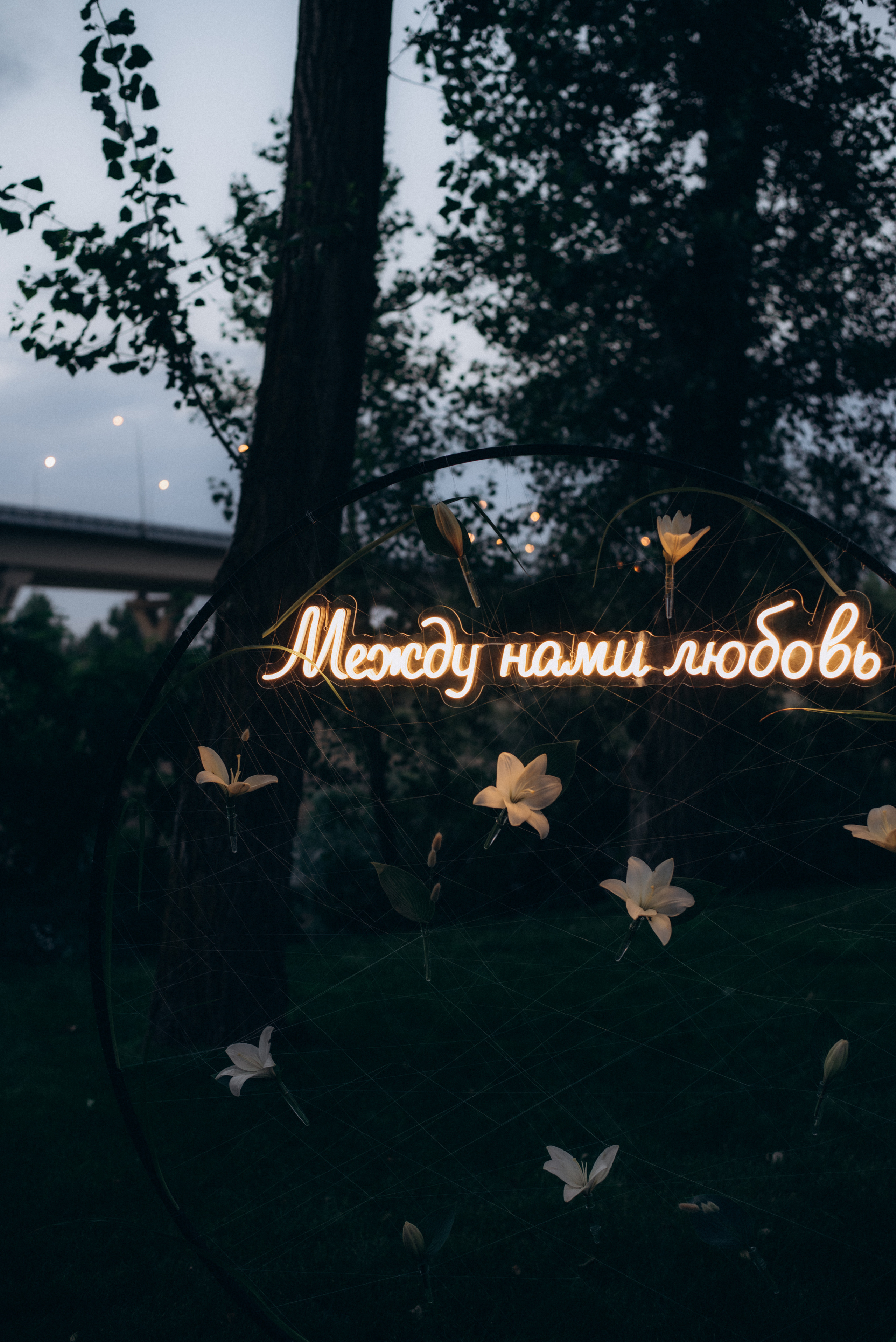 Иван и Ангелина. Артём Самойленко, фотограф в г. Волгоград