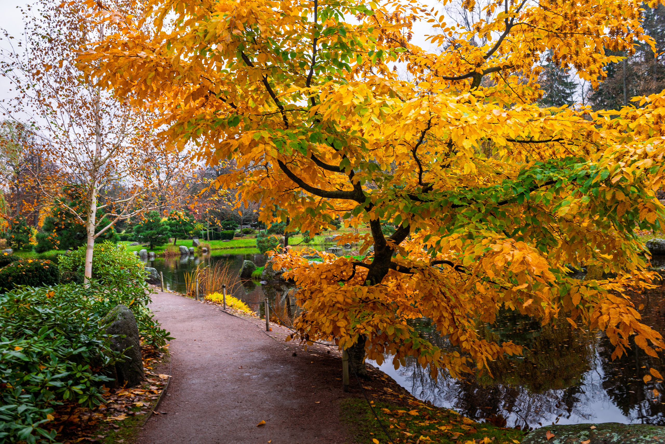 Валентин Бариков-фотограф Москва