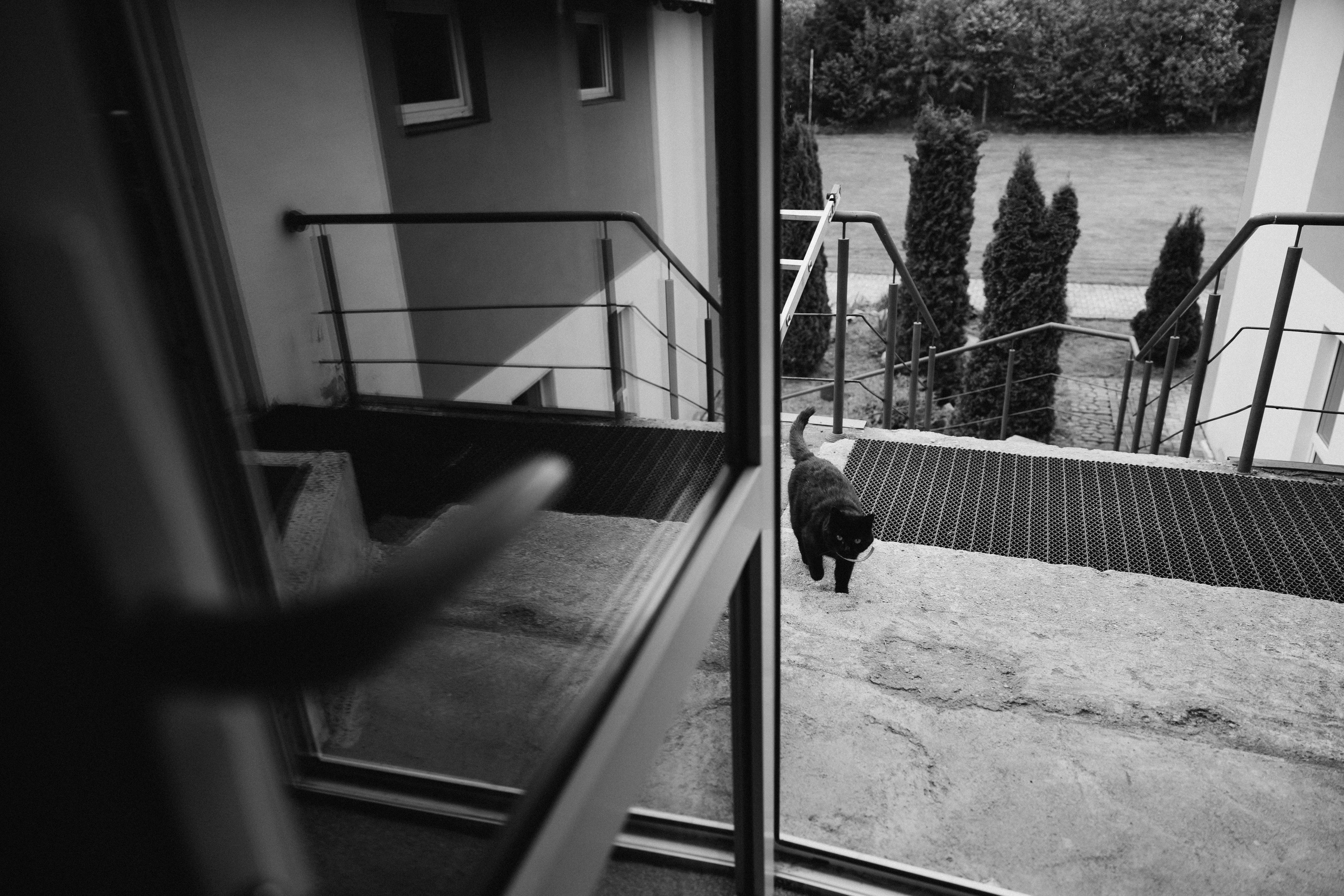 Сергей и Анастасия. Свадебный фотограф Роман Медведев , Минск, Беларусь