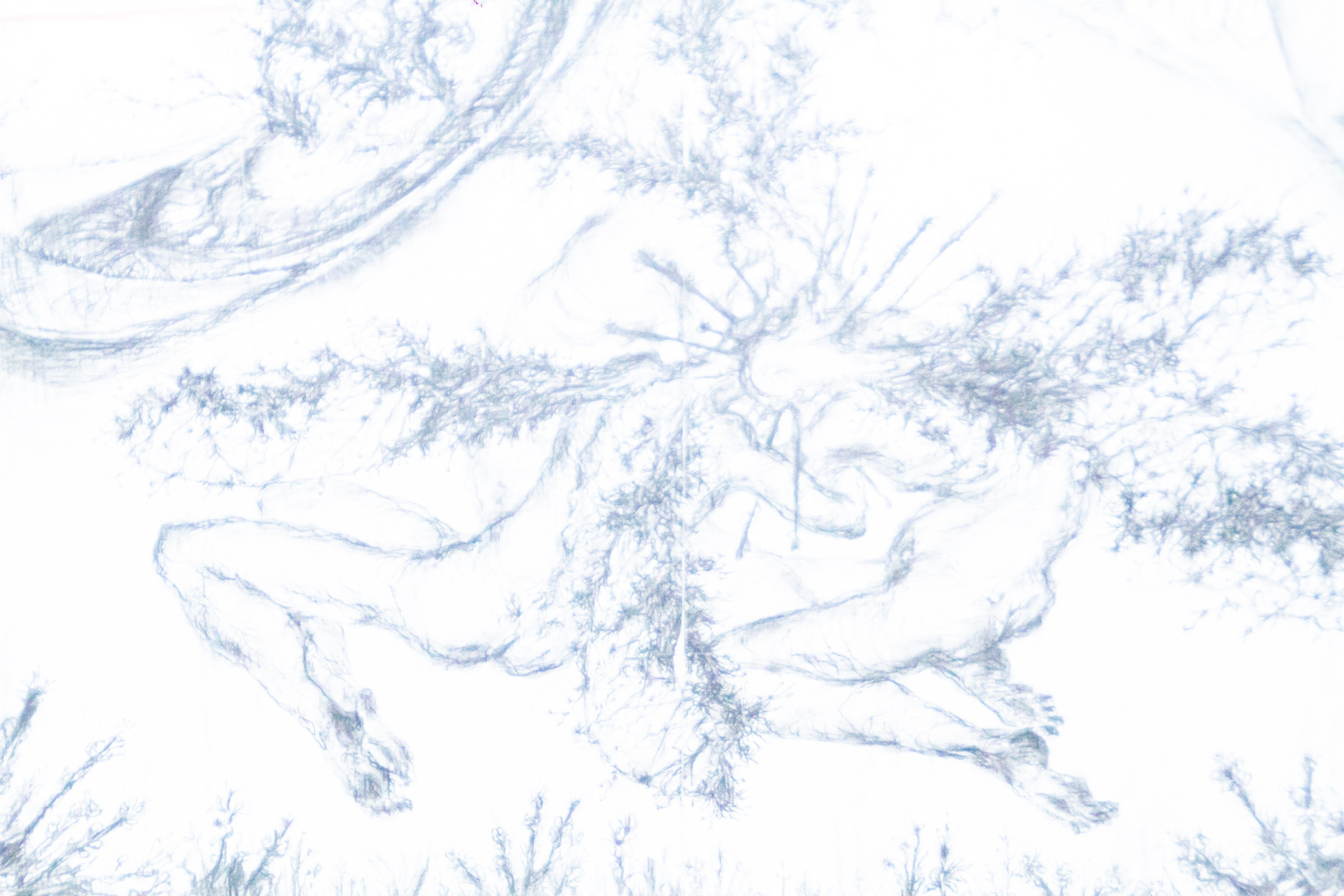 Ночь музеев 2026. Устьнцева Татьяна фотограф в Екатеринбурге