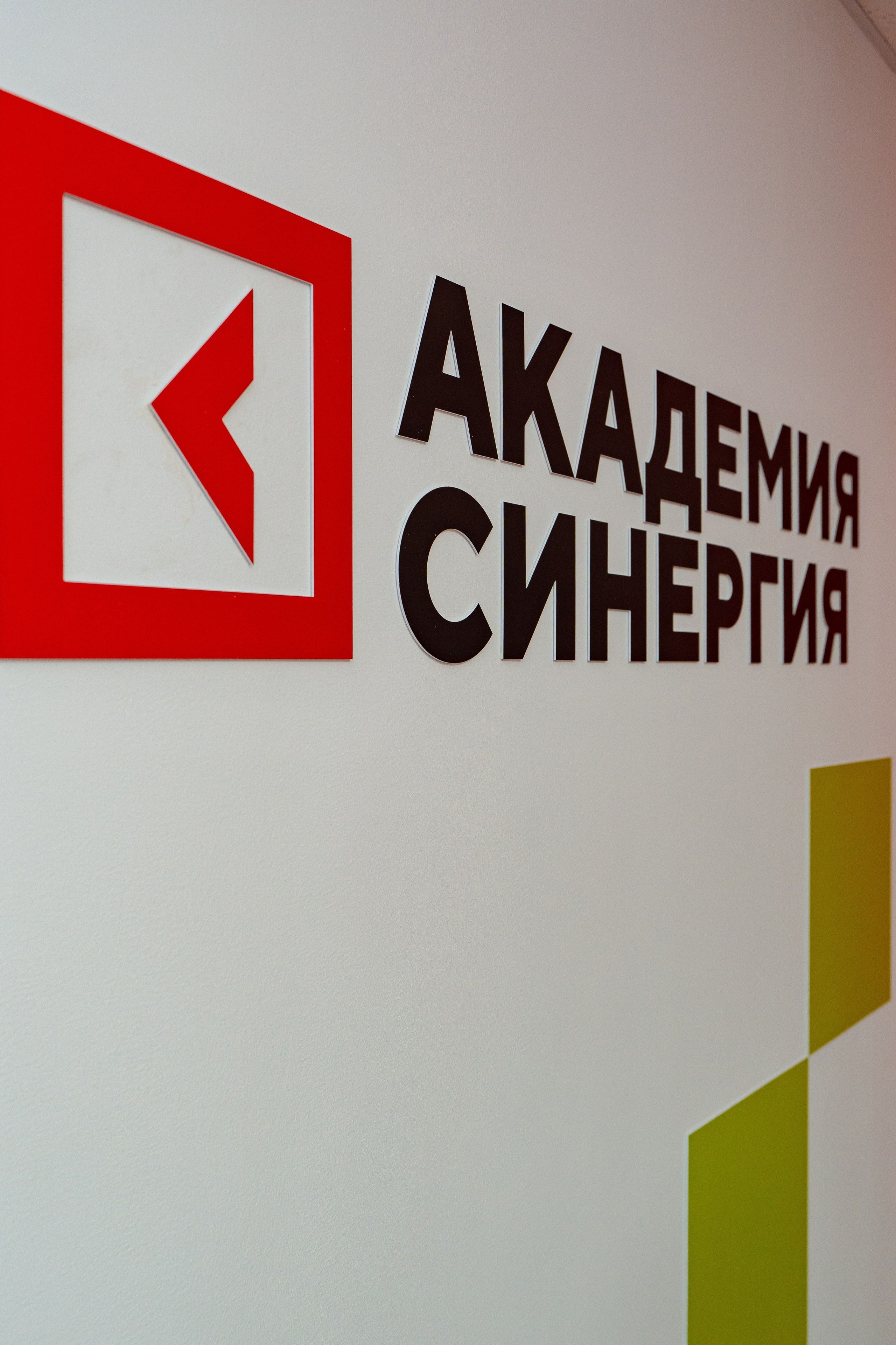 Синергия. Фотограф Мария Зайчик