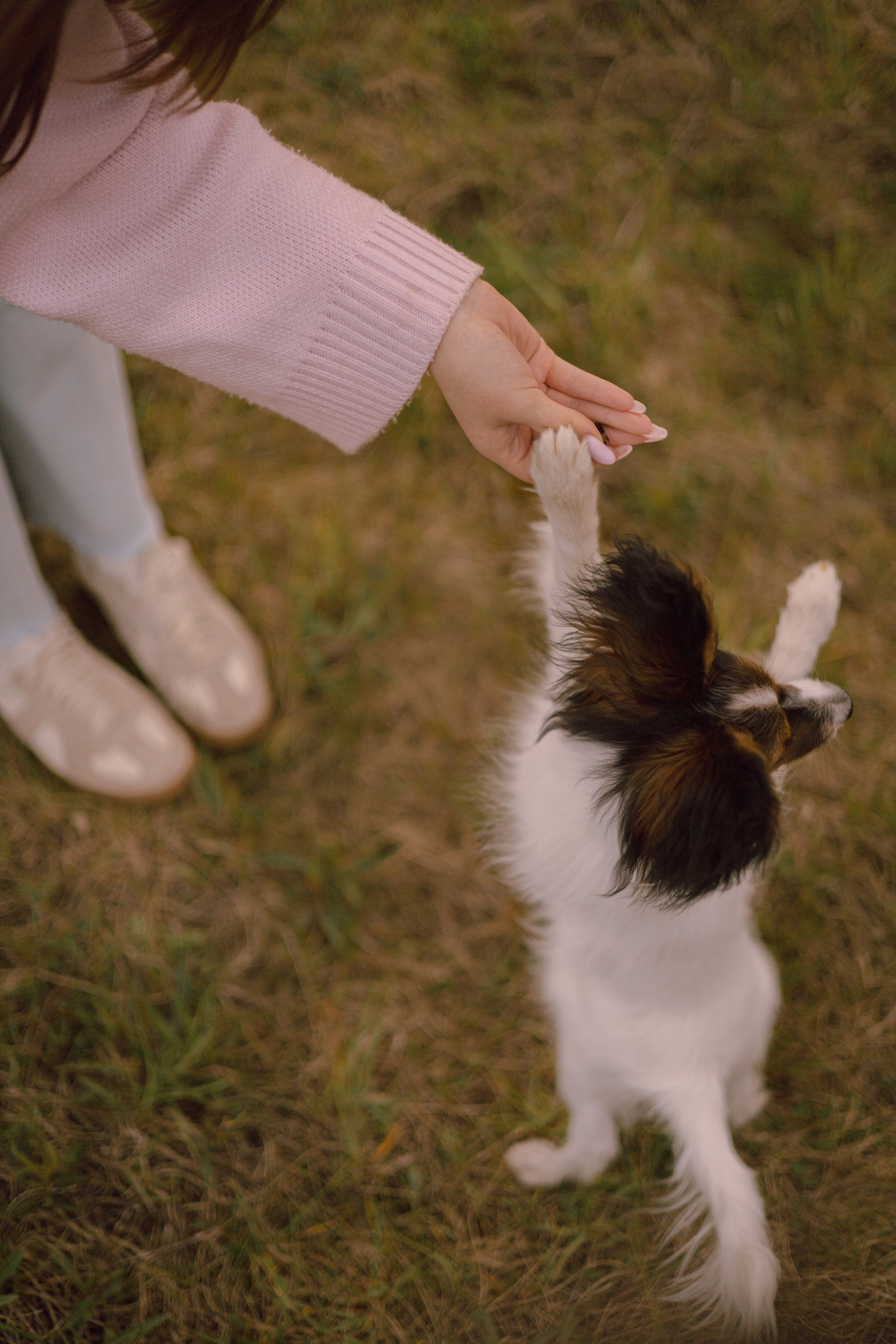 Вика и Бруни. Фотограф — анималист •love-story•|Санкт-Петербург