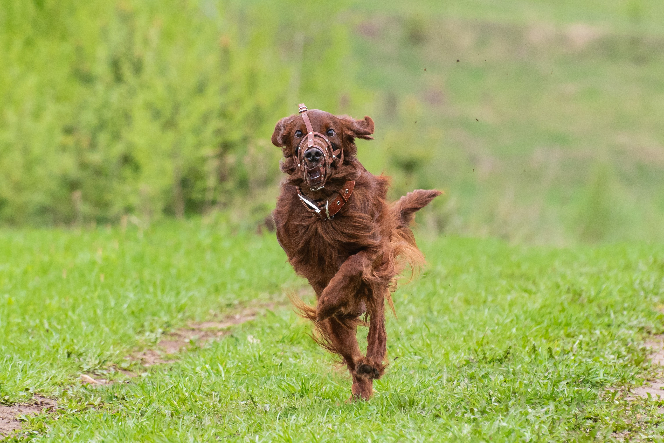Фотографии с Курсинга. Фотограф Макс Огурцов в Нижнем Новгороде