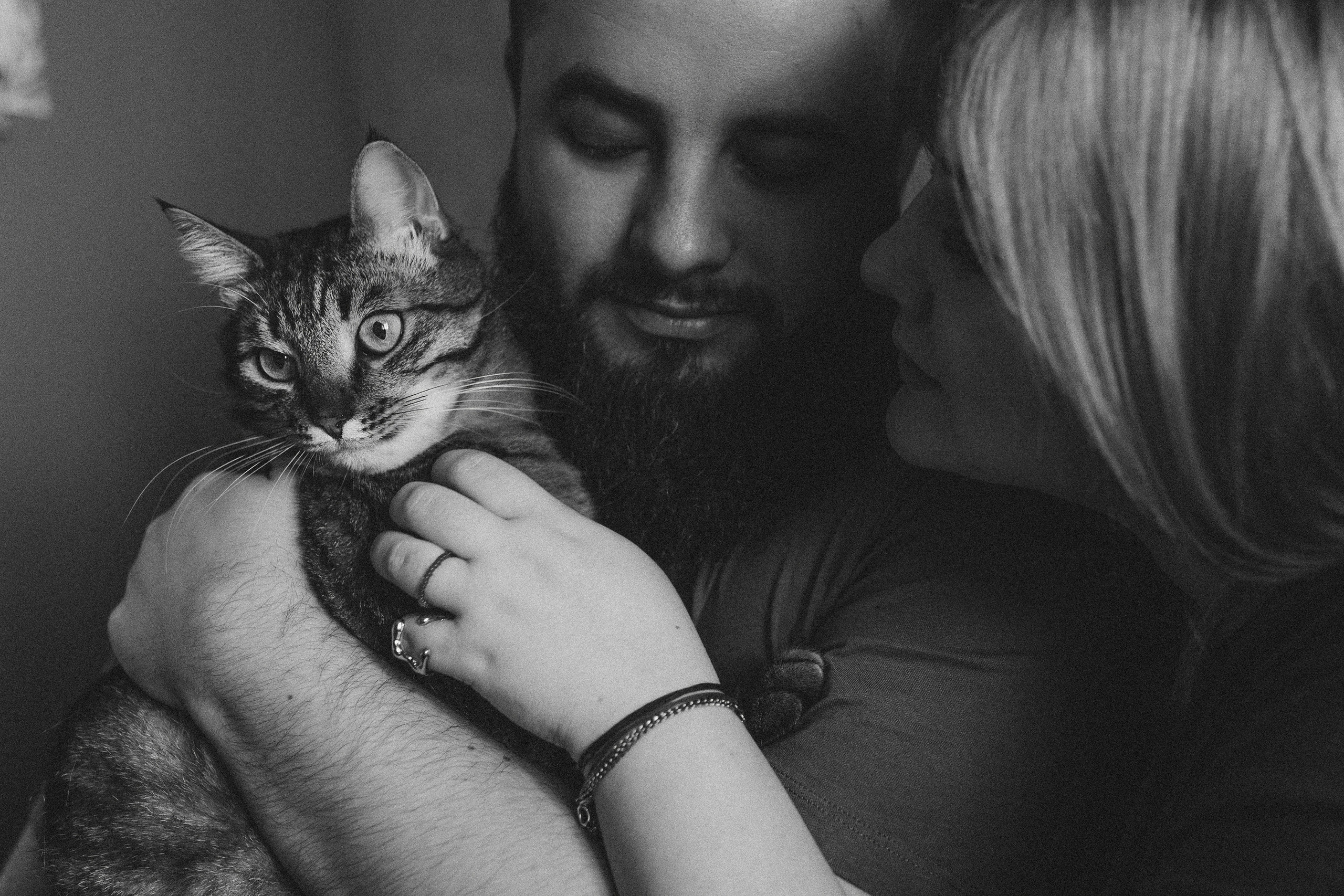 Домашняя ♥ Настя, Стас и кот Василий. Фотограф Тверь. Свадебные, семейные, индивидуальные фотосессии