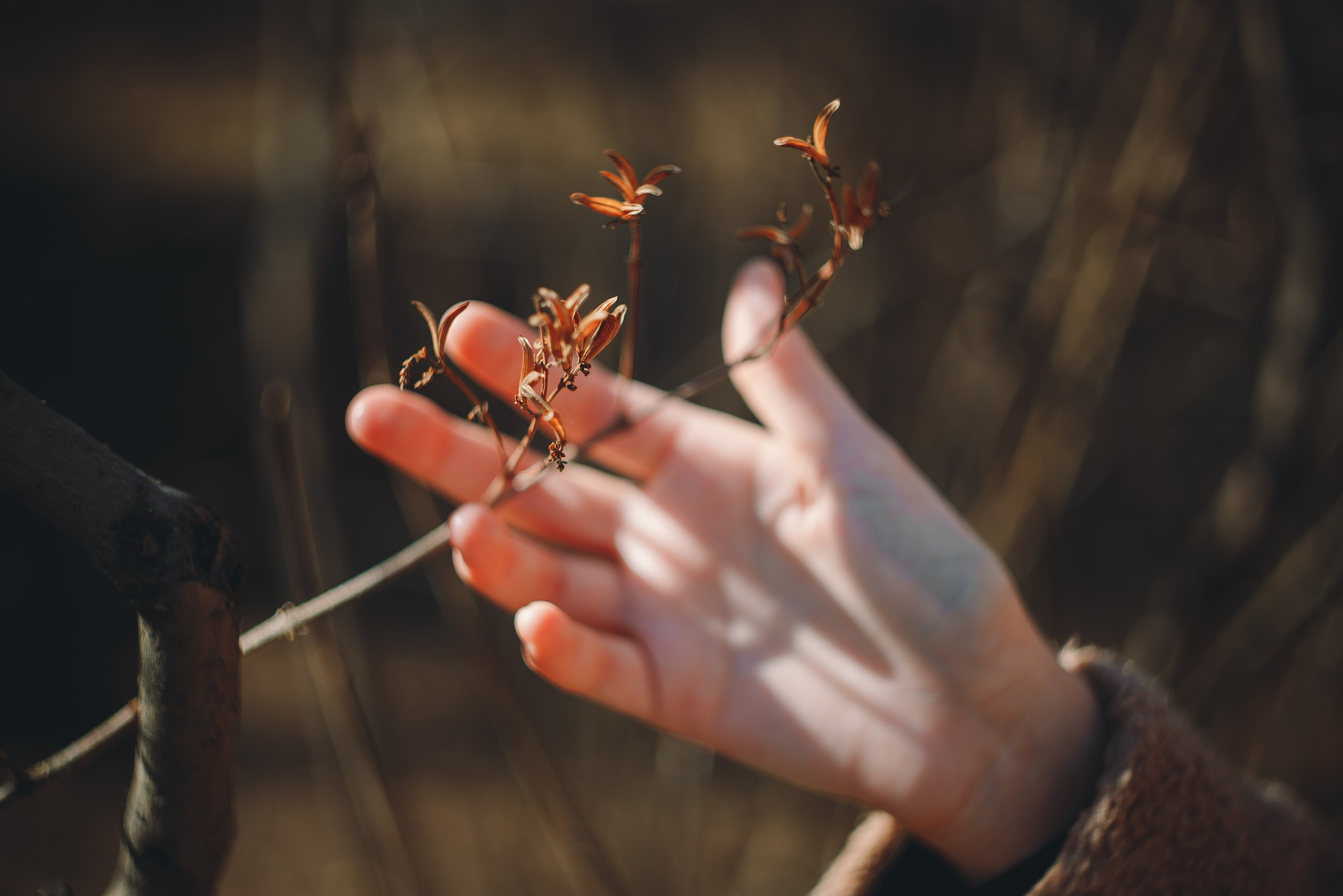 НХ. Фотограф в Абакане Николай Окунев
