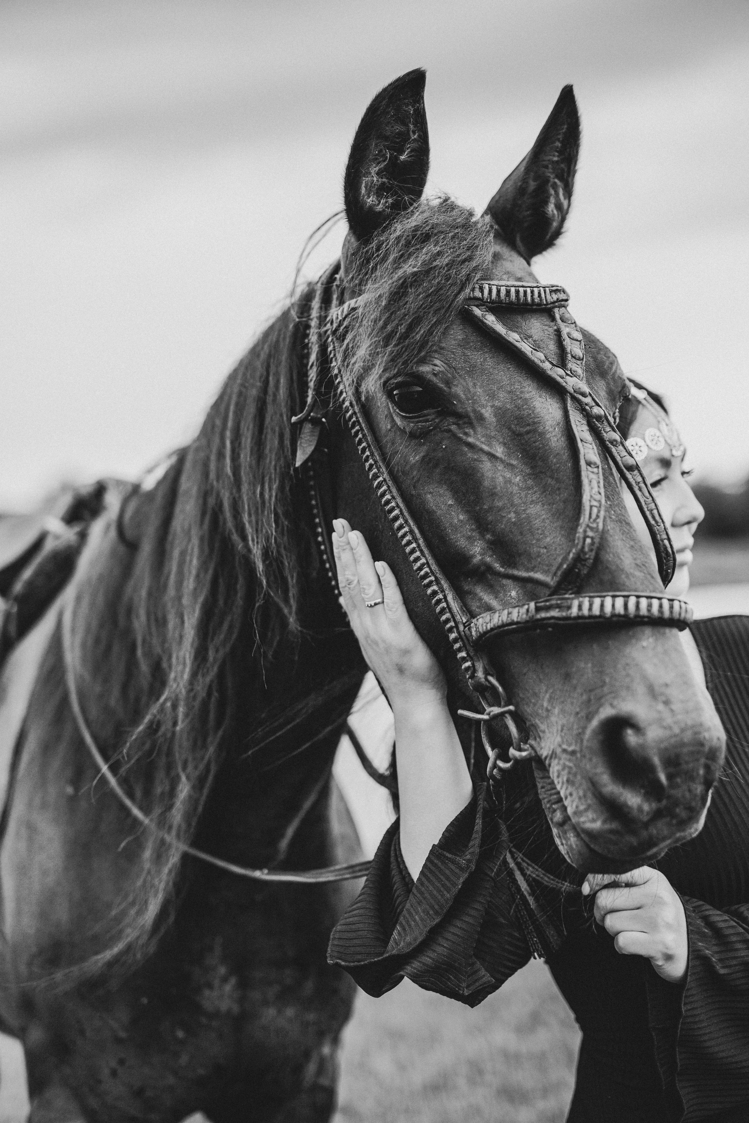 Лилия. Фотограф Анастасия Петрова
