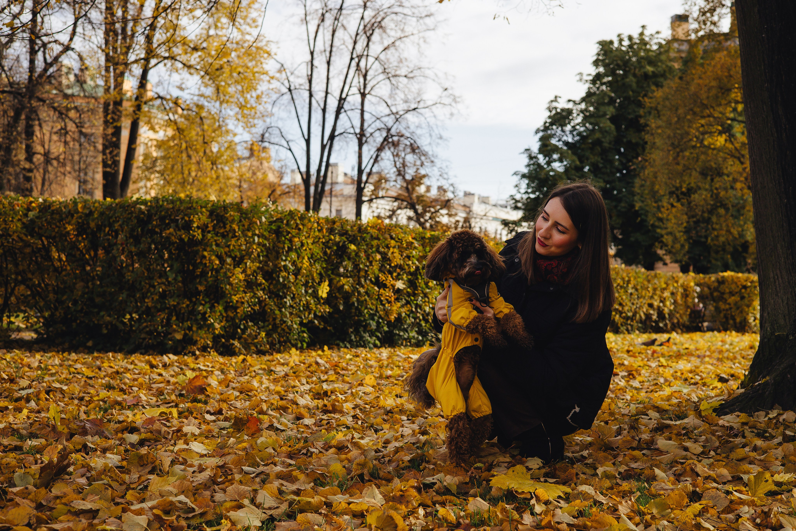 Летающая Мерси